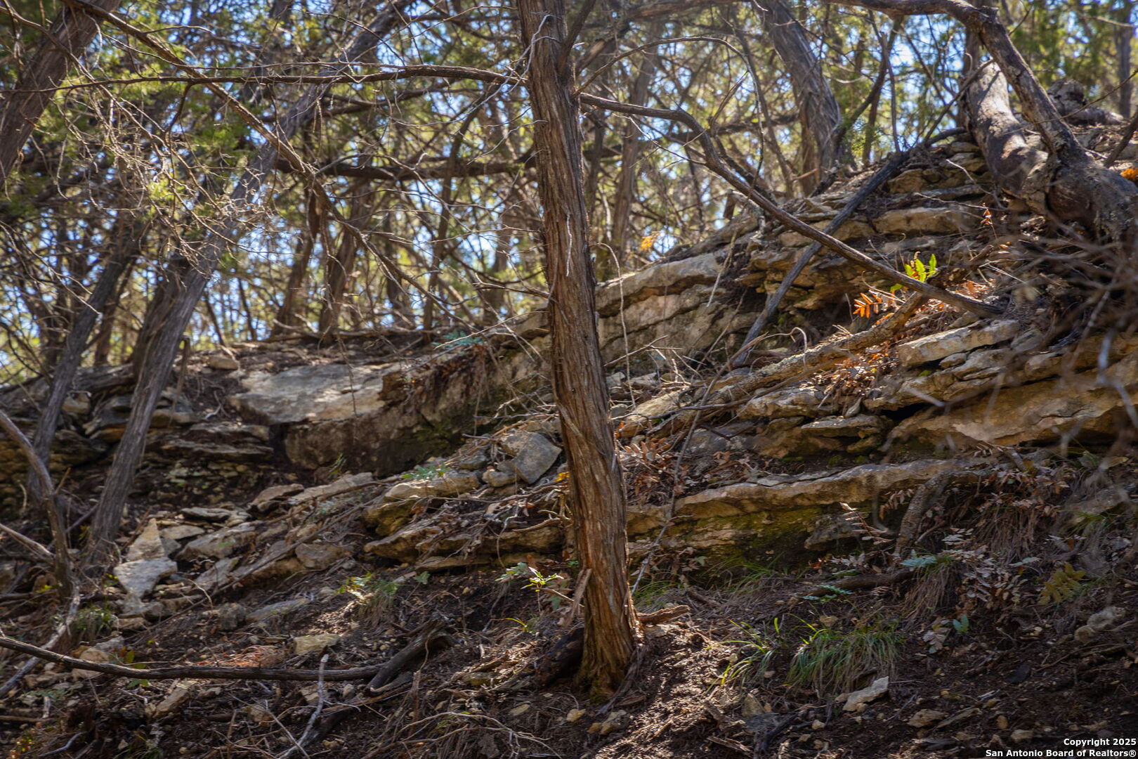 main property photo 22