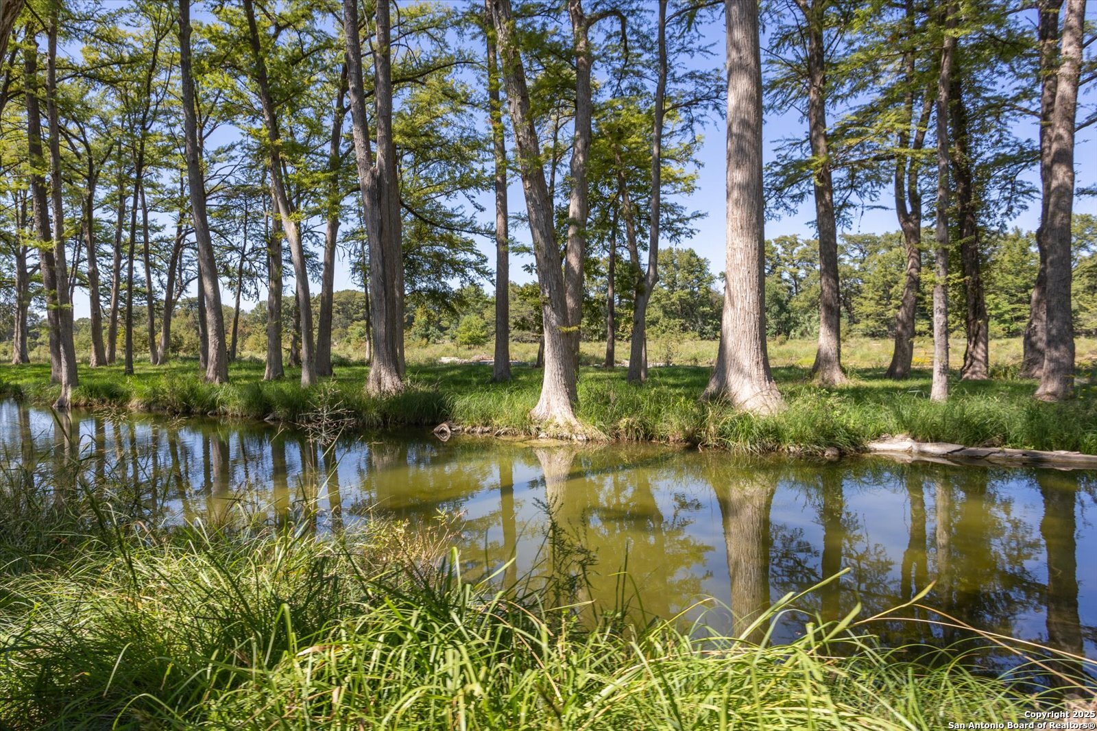 main property photo 49