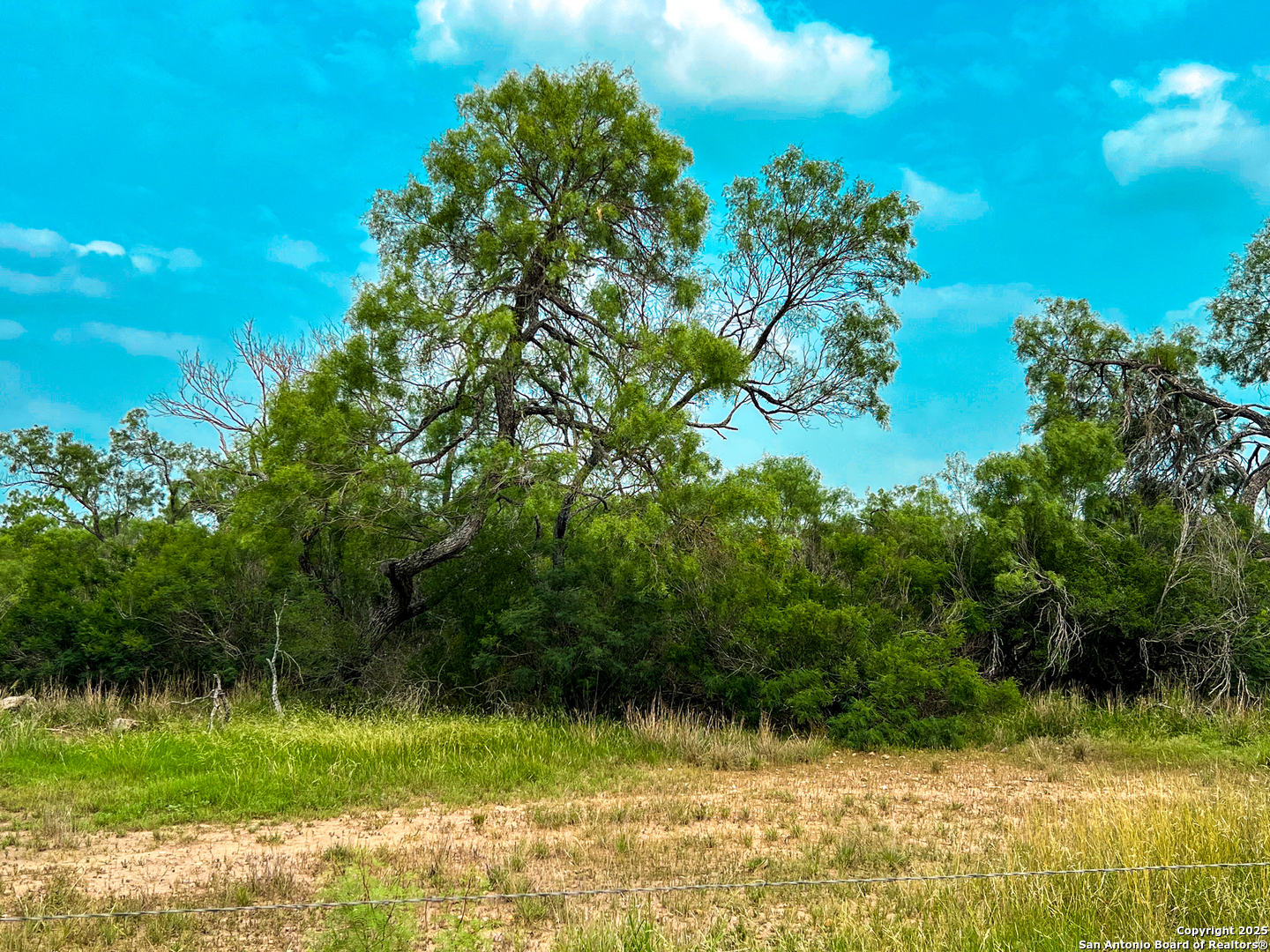 main property photo 10