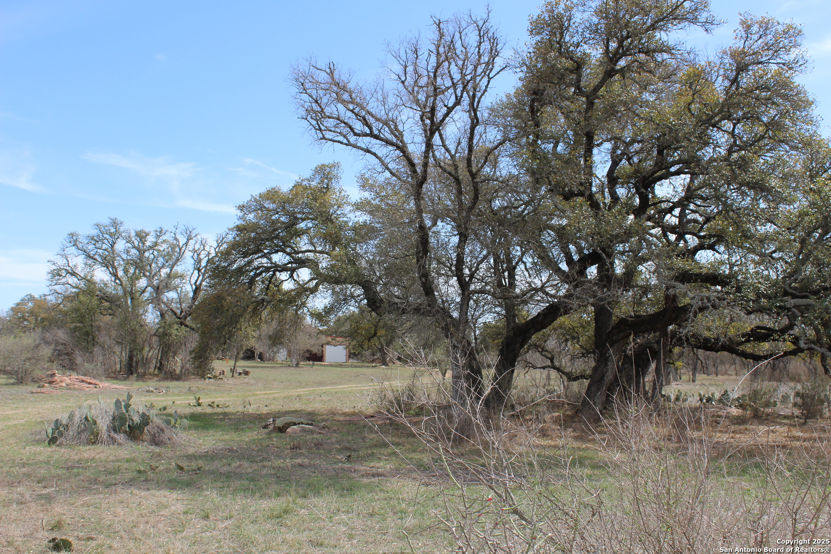 main property photo 23