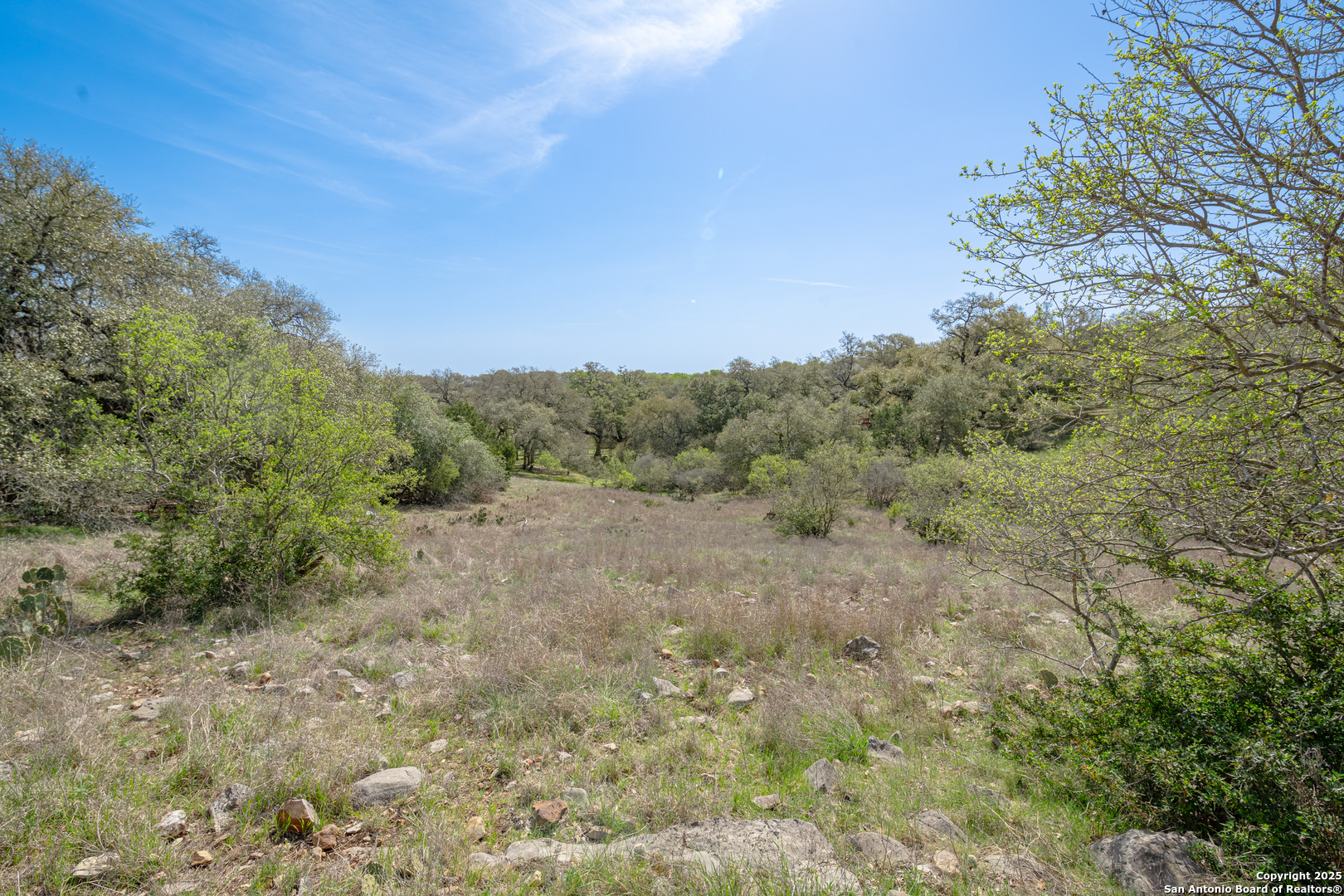main property photo 45