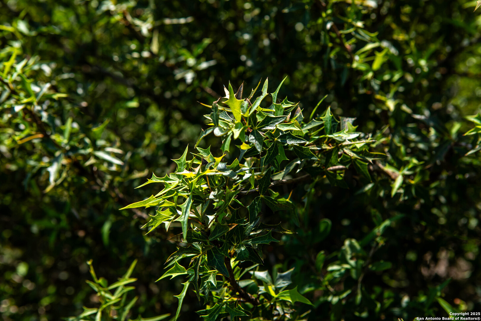 main property photo 15