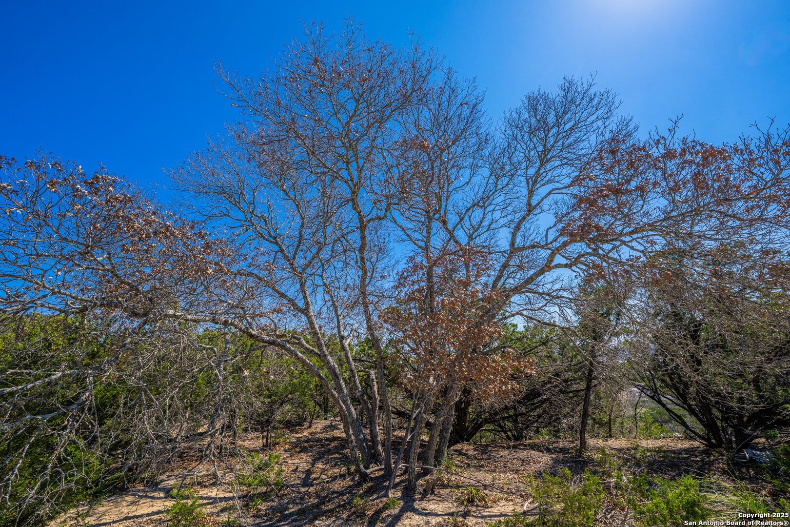 main property photo 14