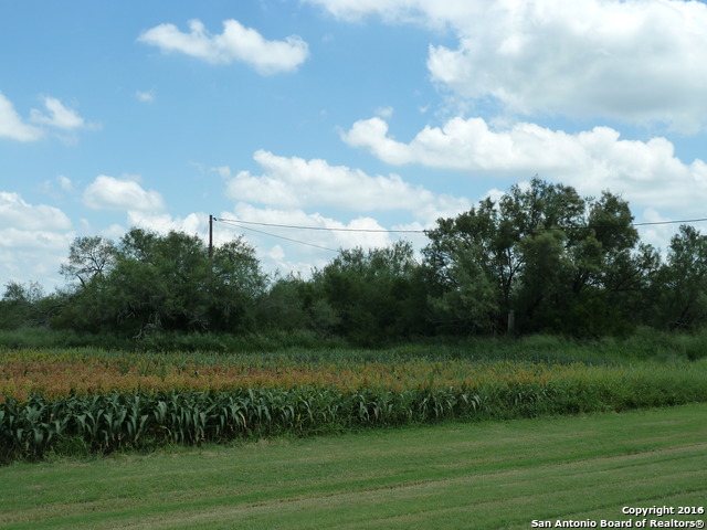 main property photo 6