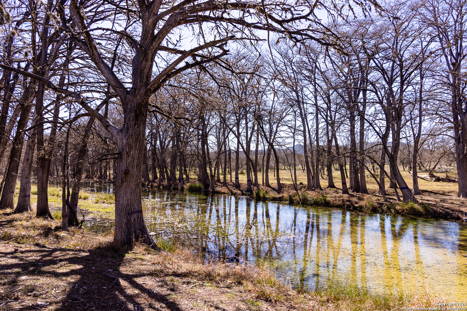 main property photo 25
