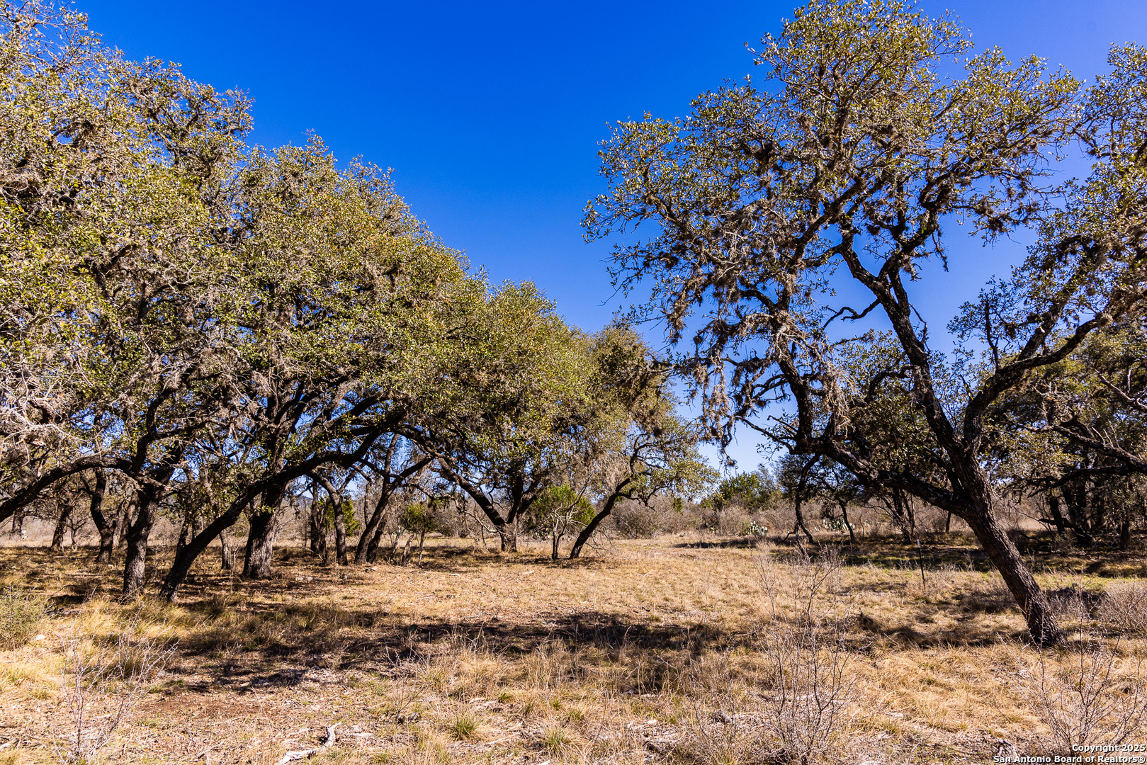 main property photo 11