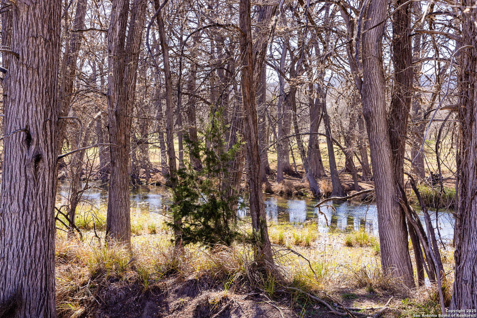 main property photo 21