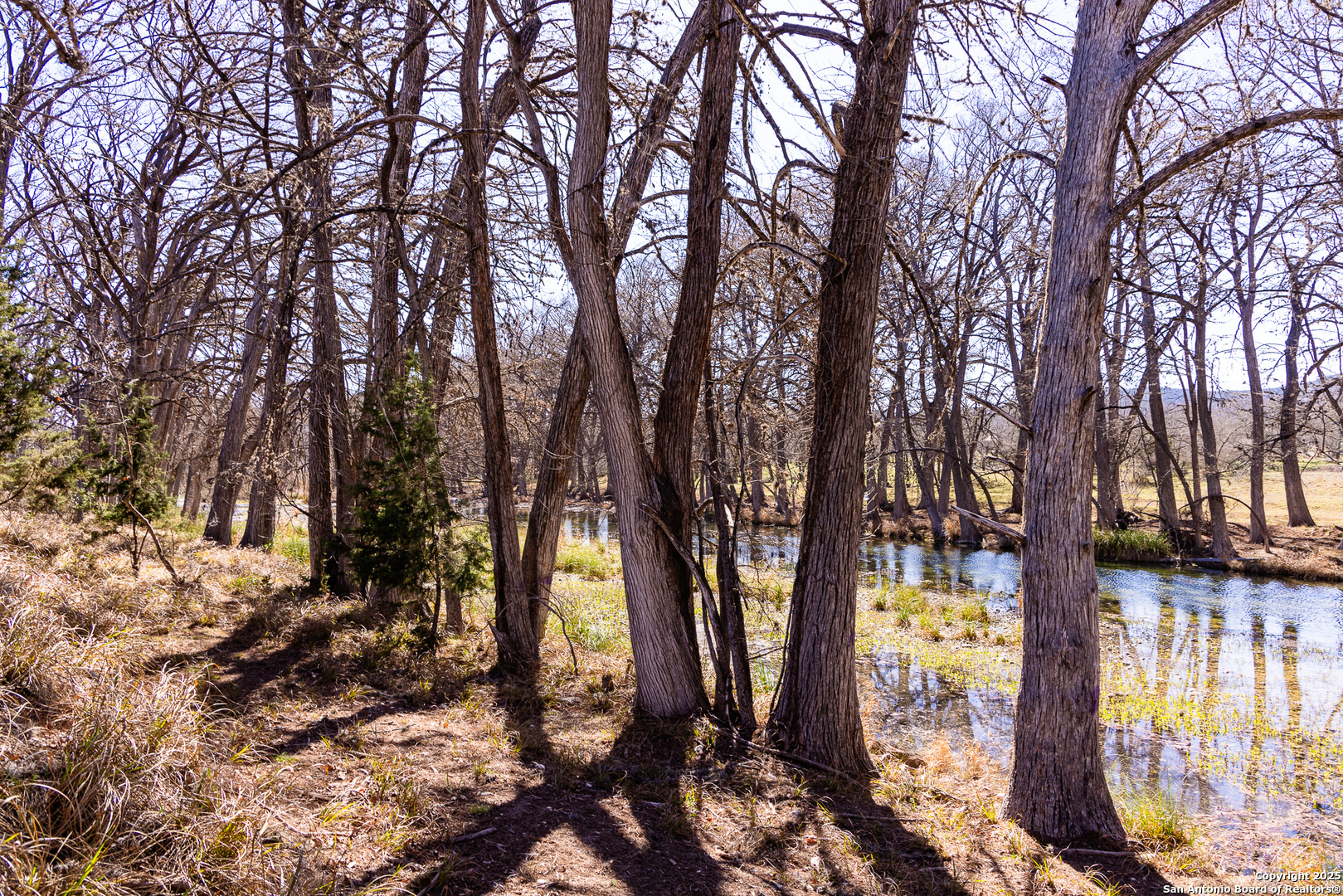 main property photo 22