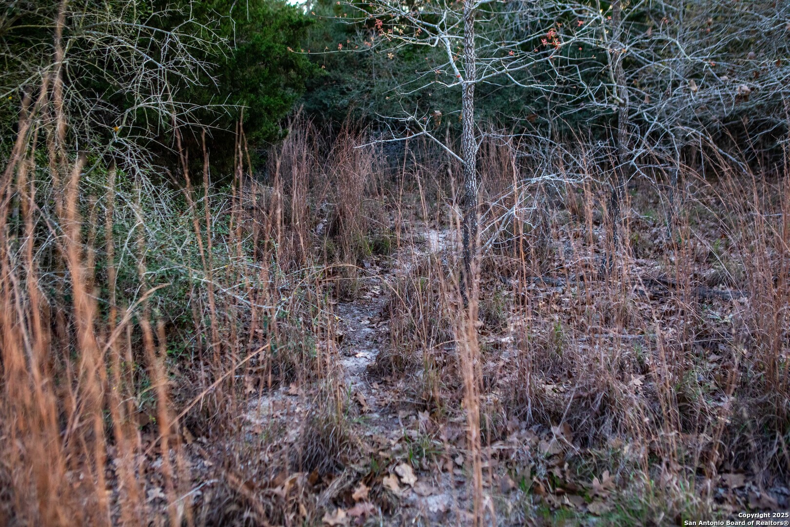 main property photo 10