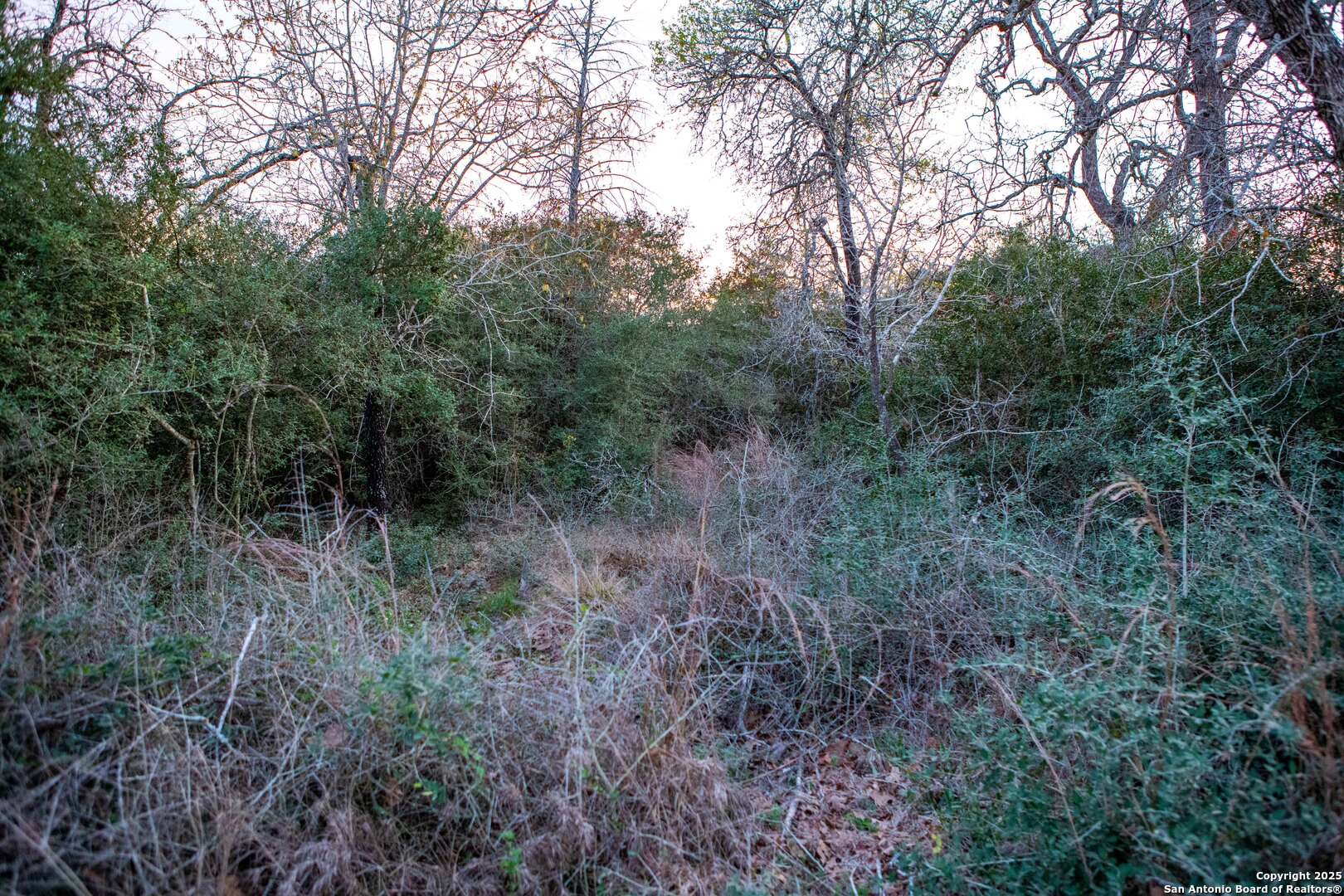 main property photo 16