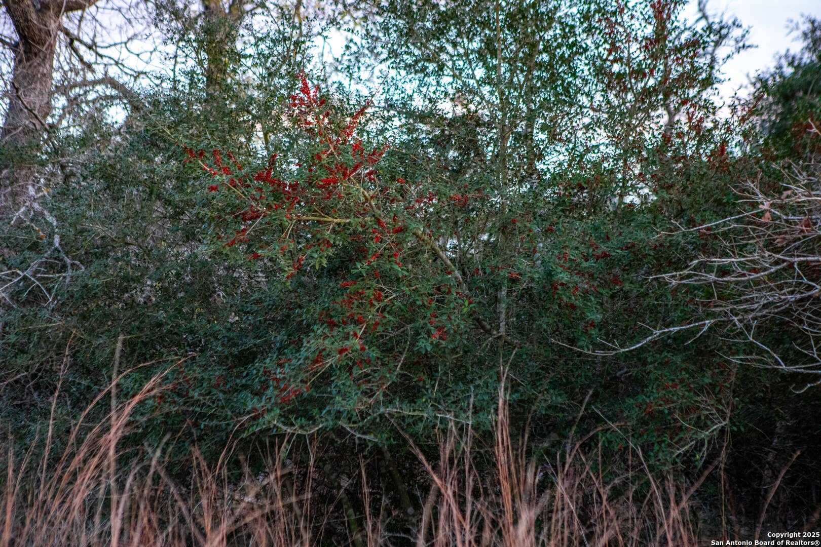 main property photo 17
