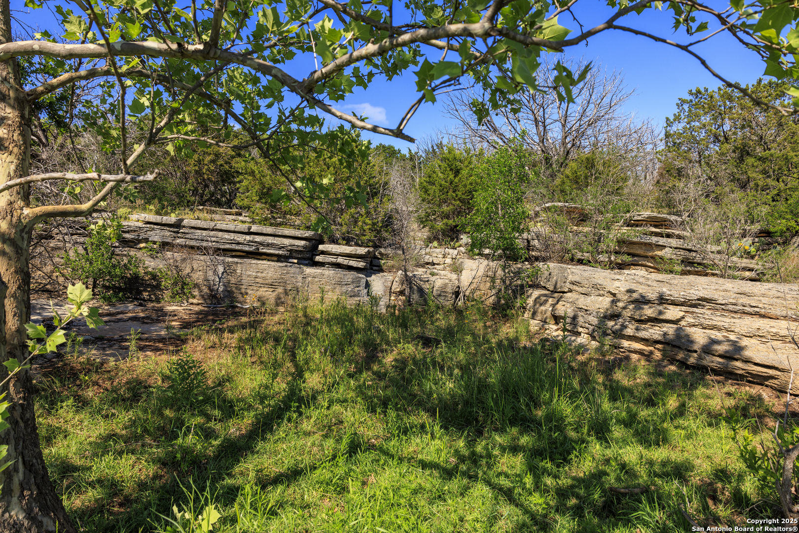 main property photo 11