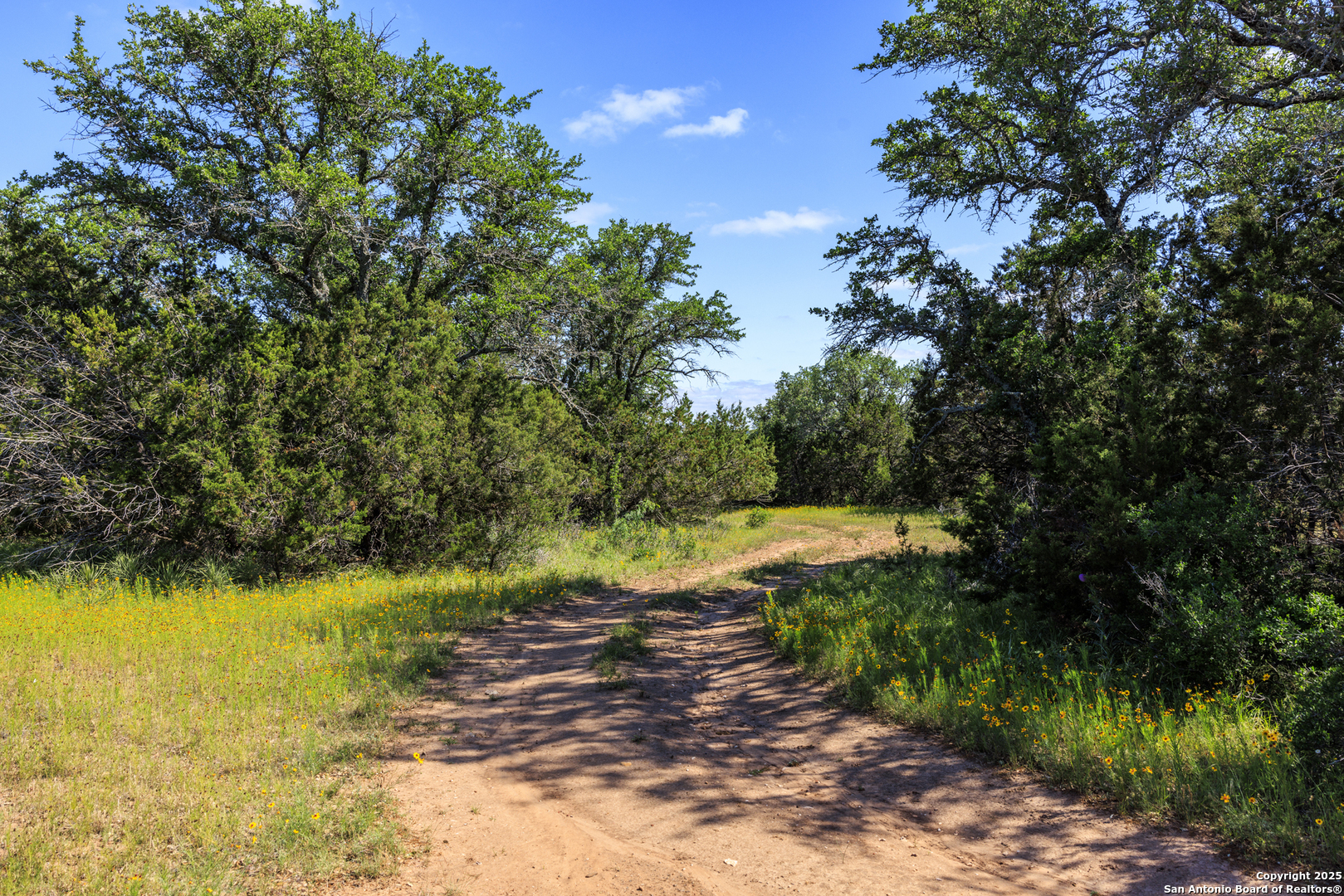 main property photo 46