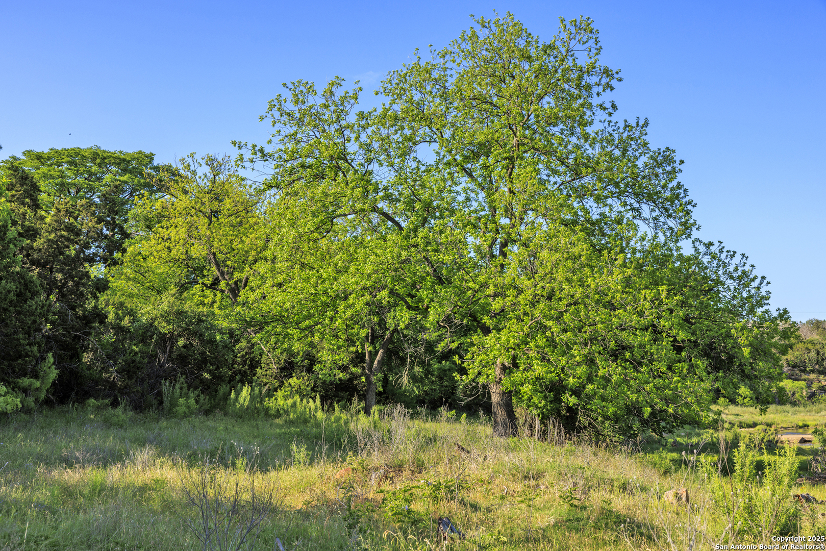 main property photo 48