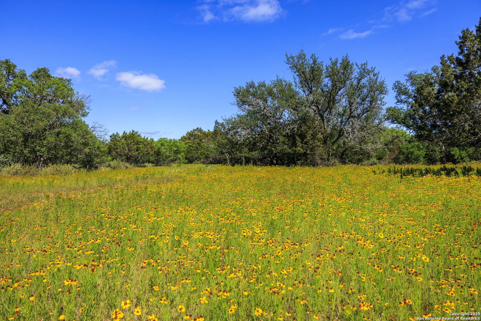 main property photo 52