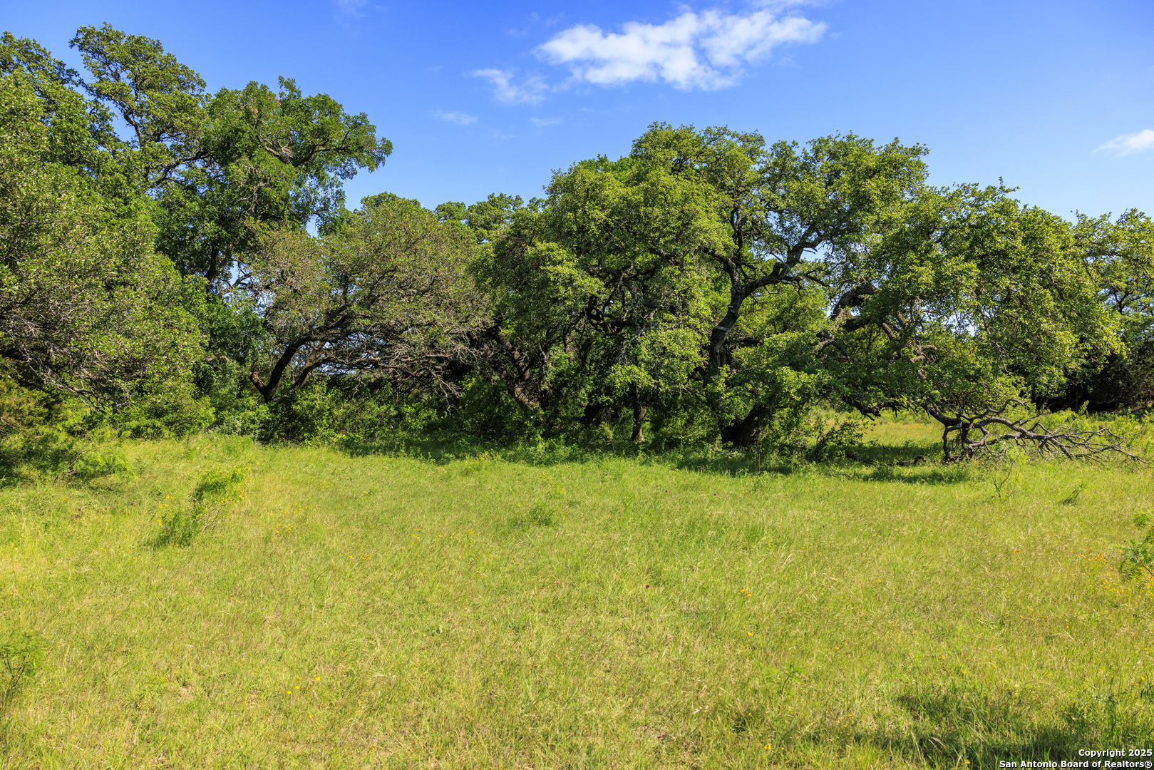 main property photo 57