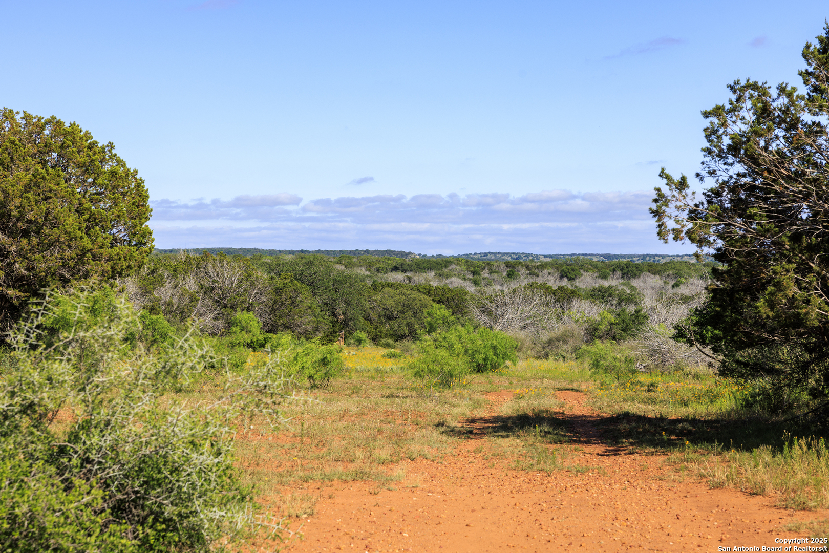 main property photo 65