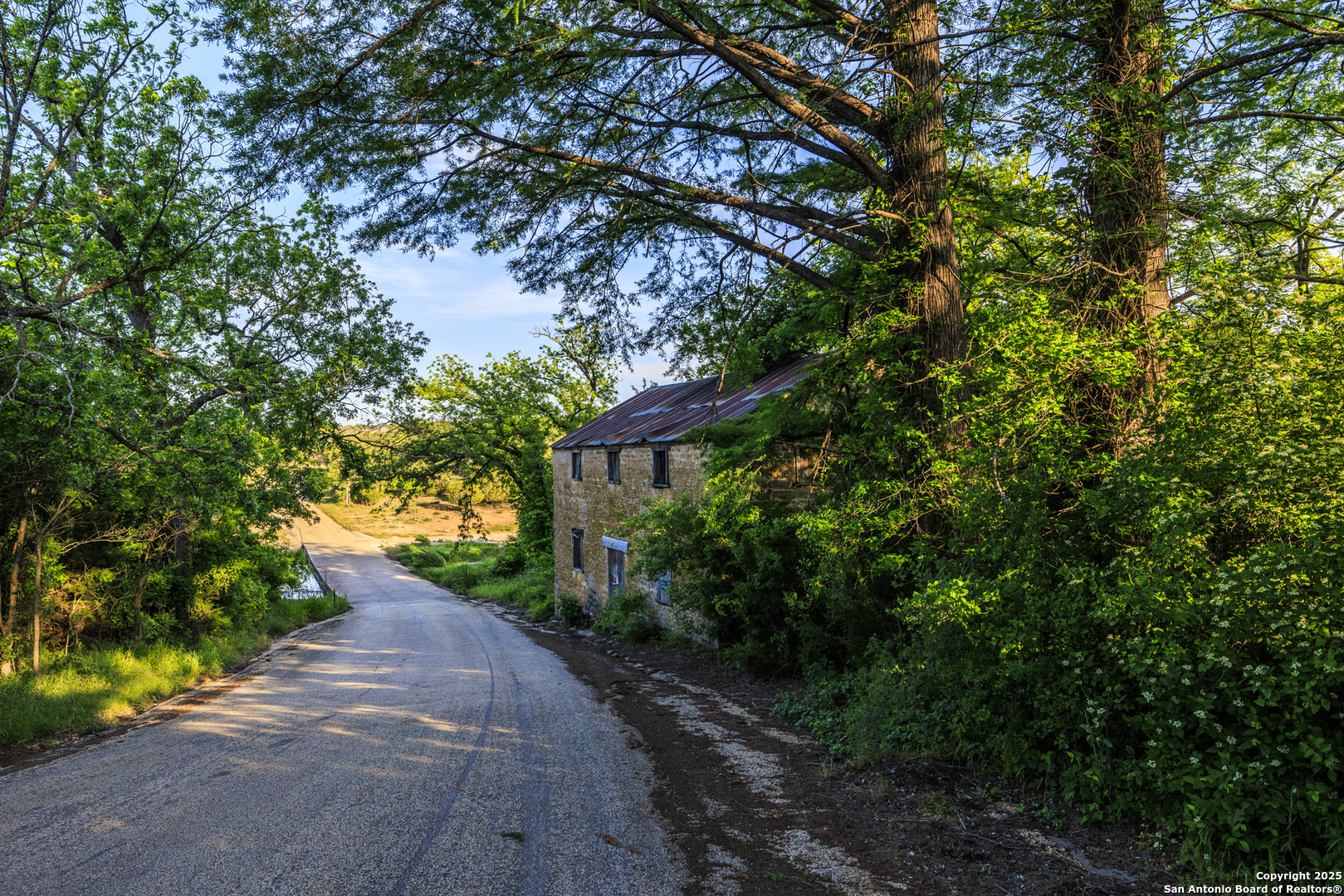 main property photo 67
