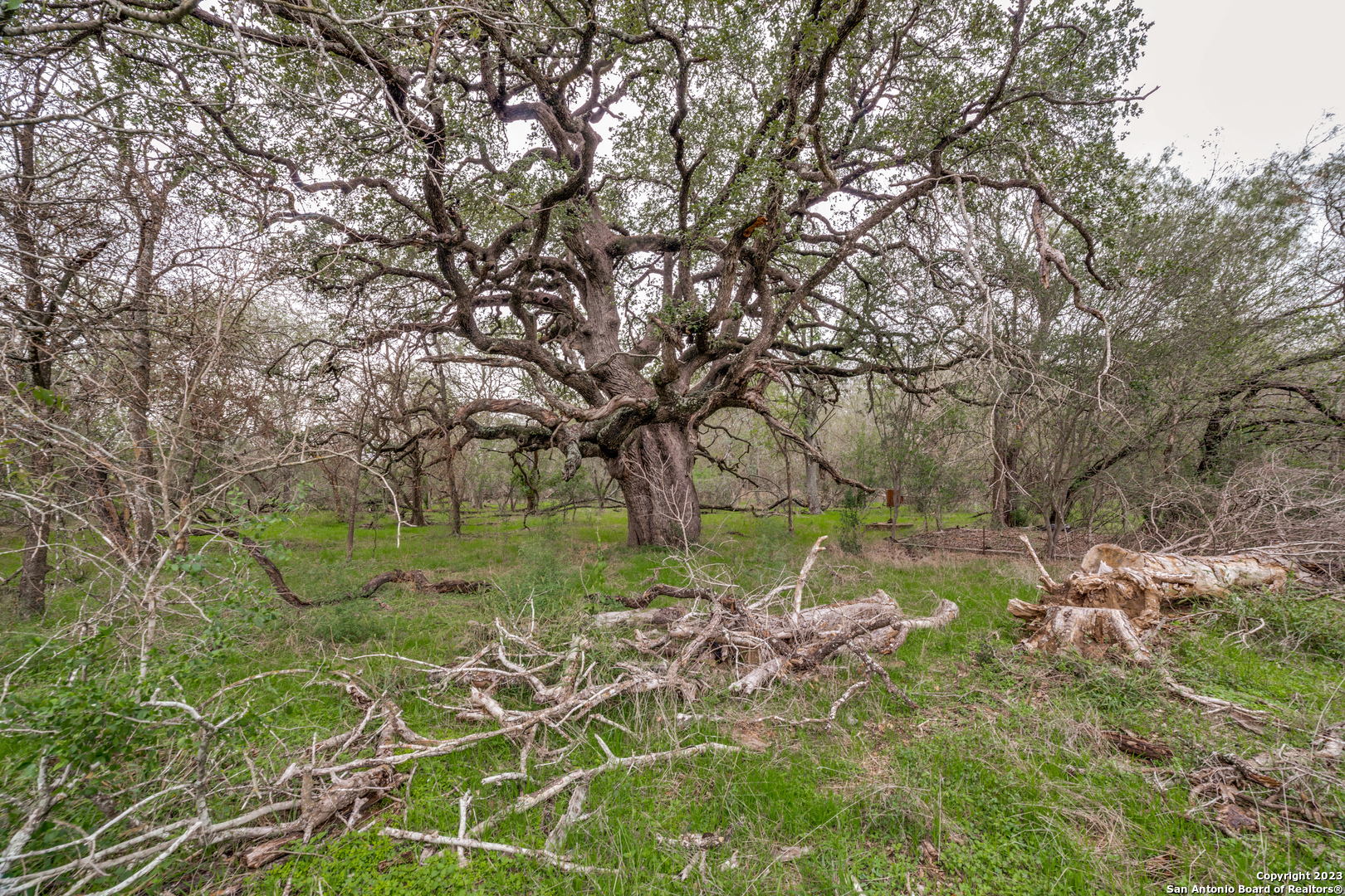 main property photo 4