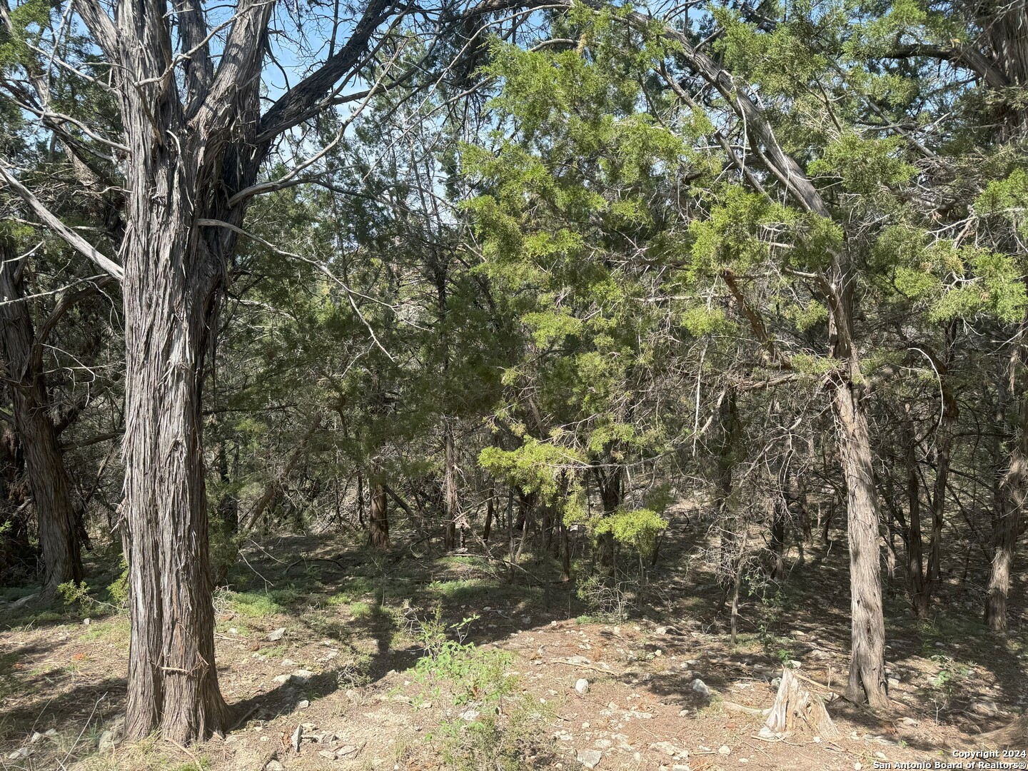 main property photo 9