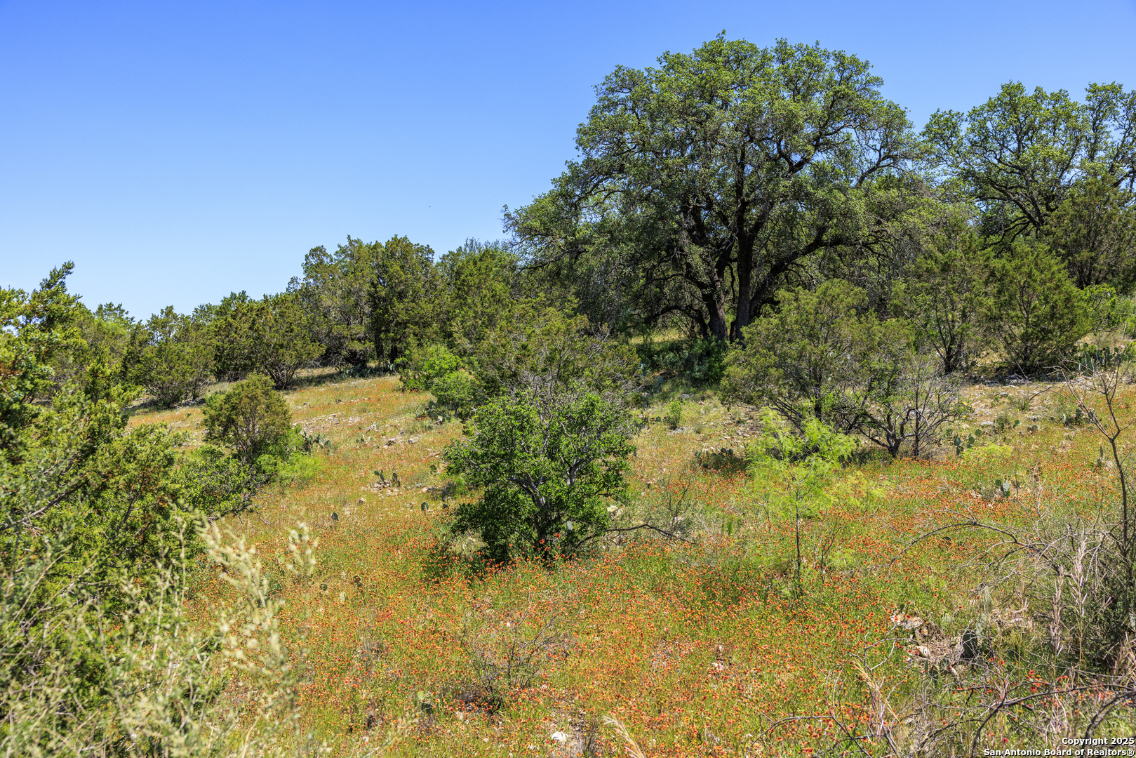 main property photo 53