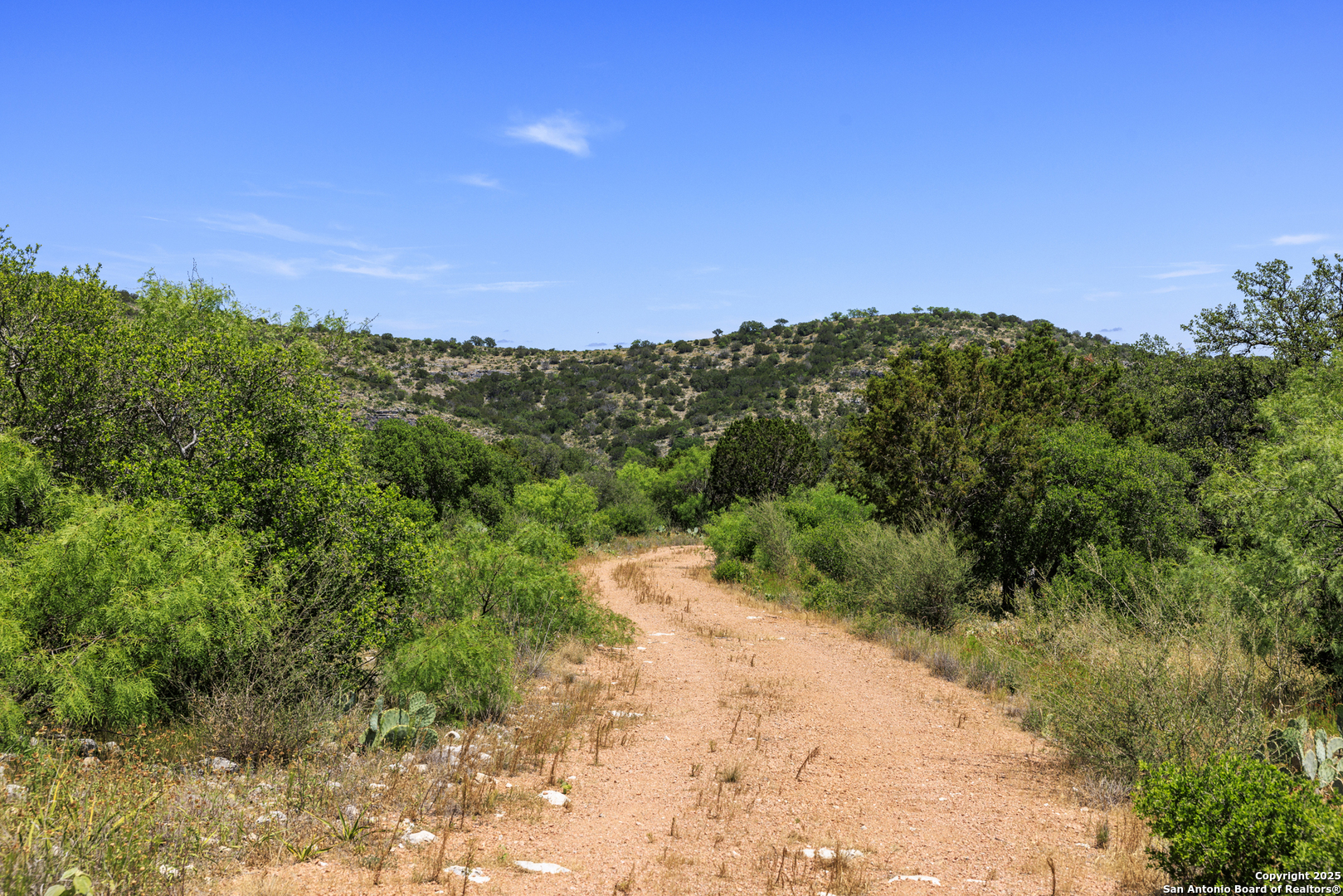 main property photo 54