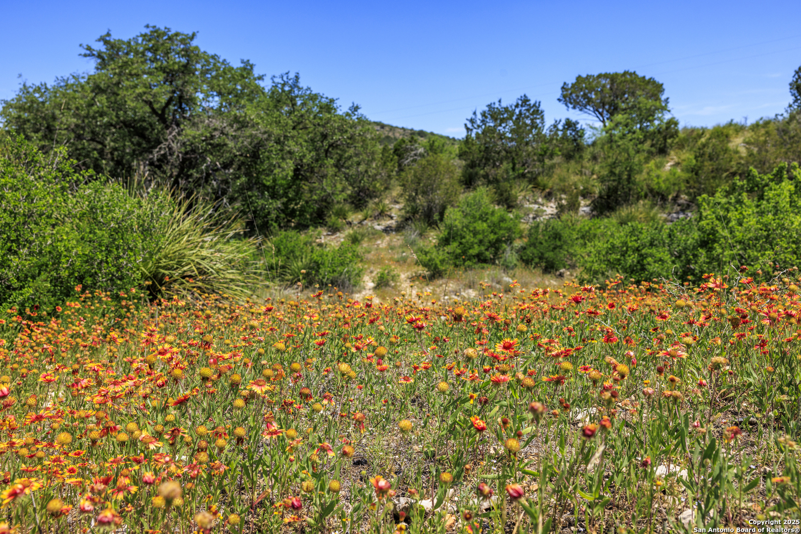 main property photo 57
