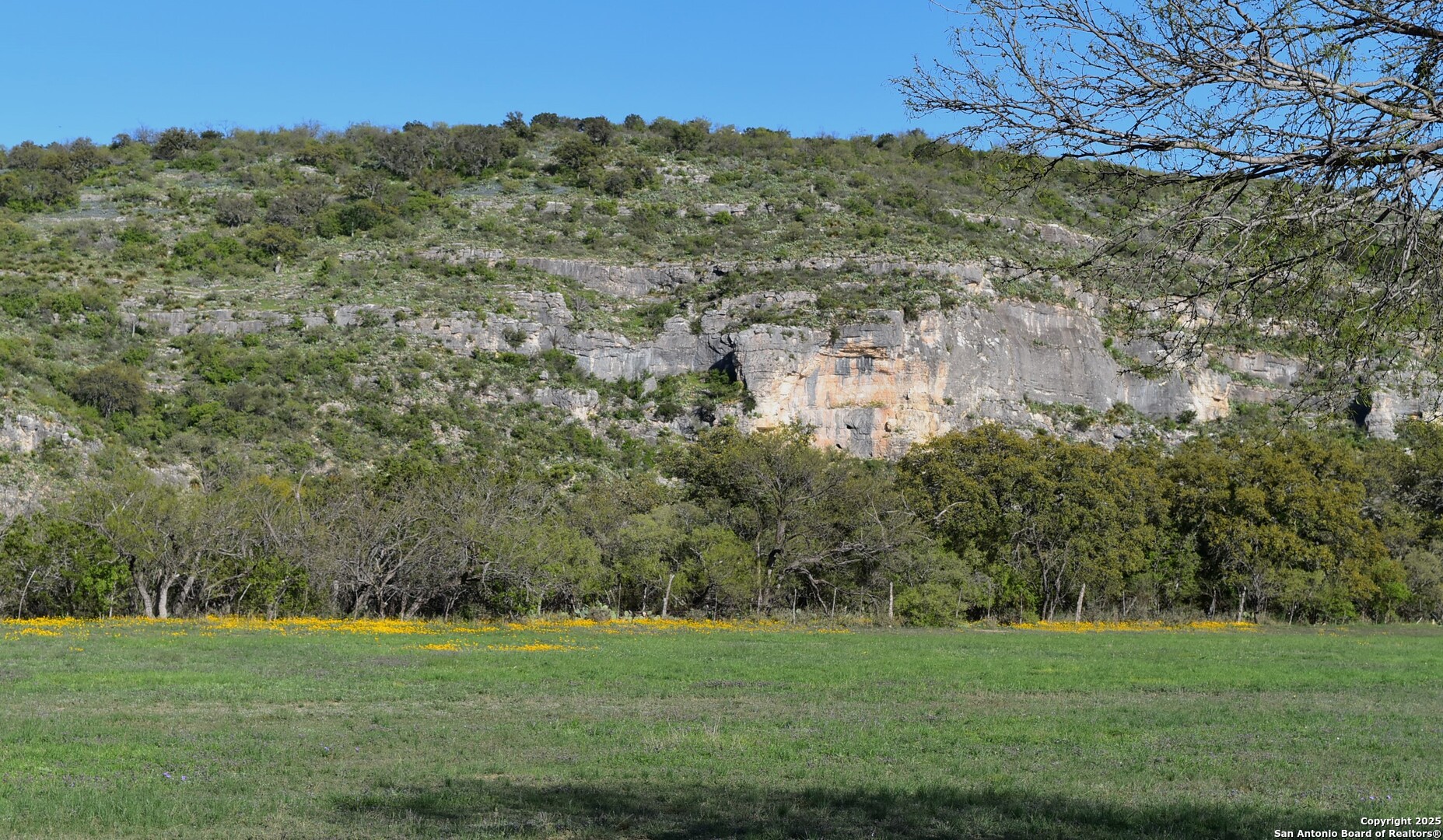 main property photo 7