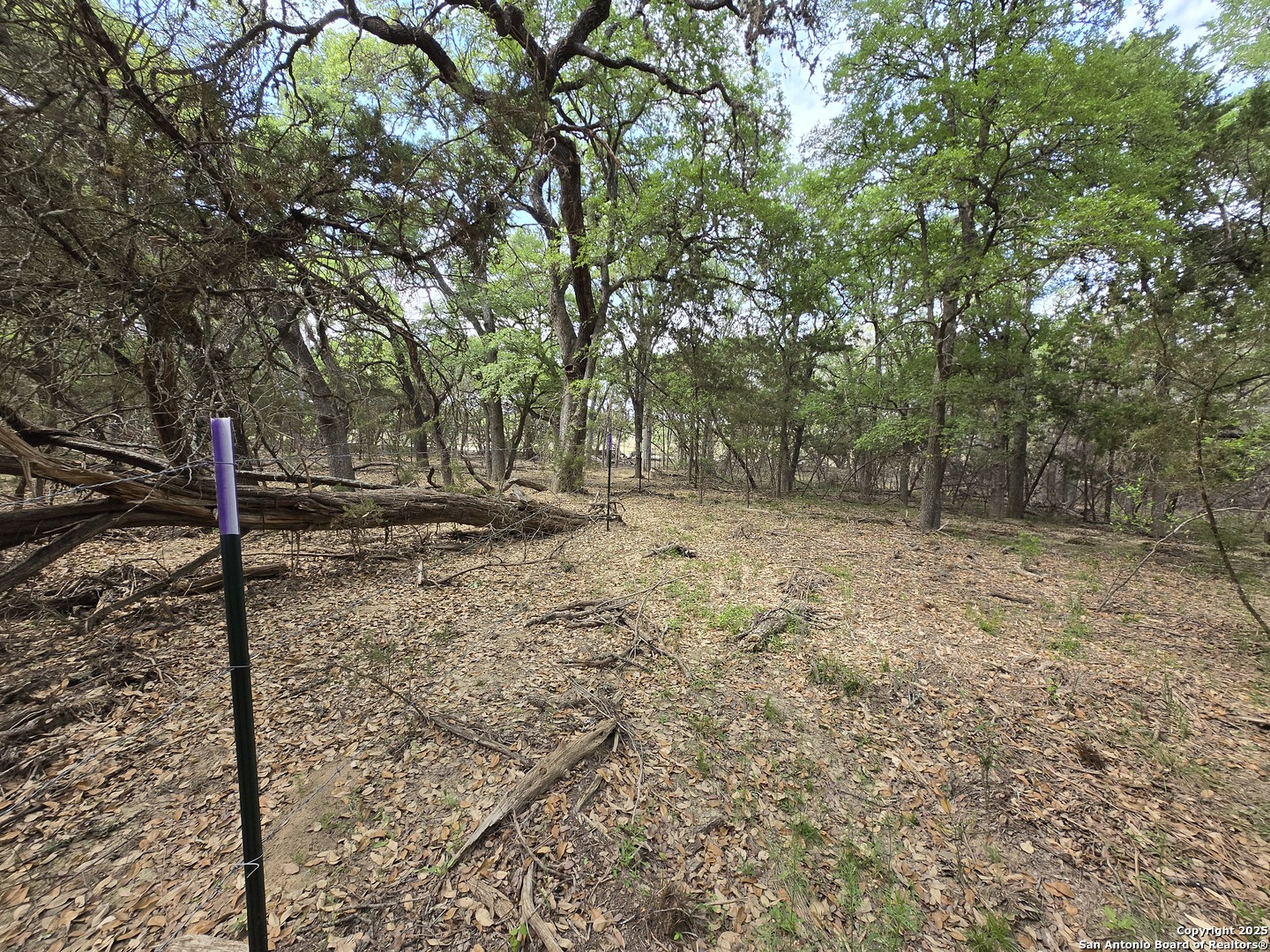 main property photo 16