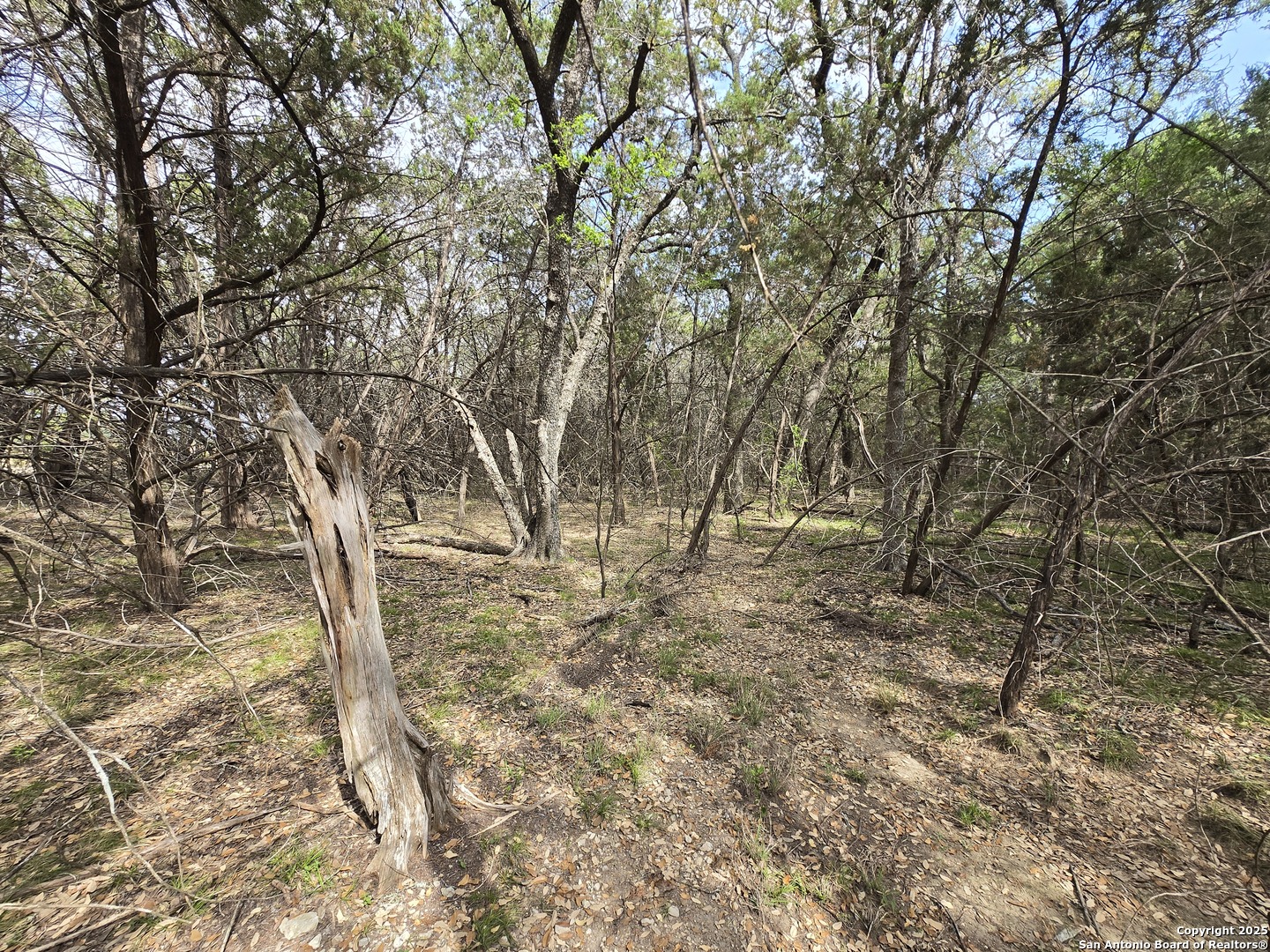 main property photo 19