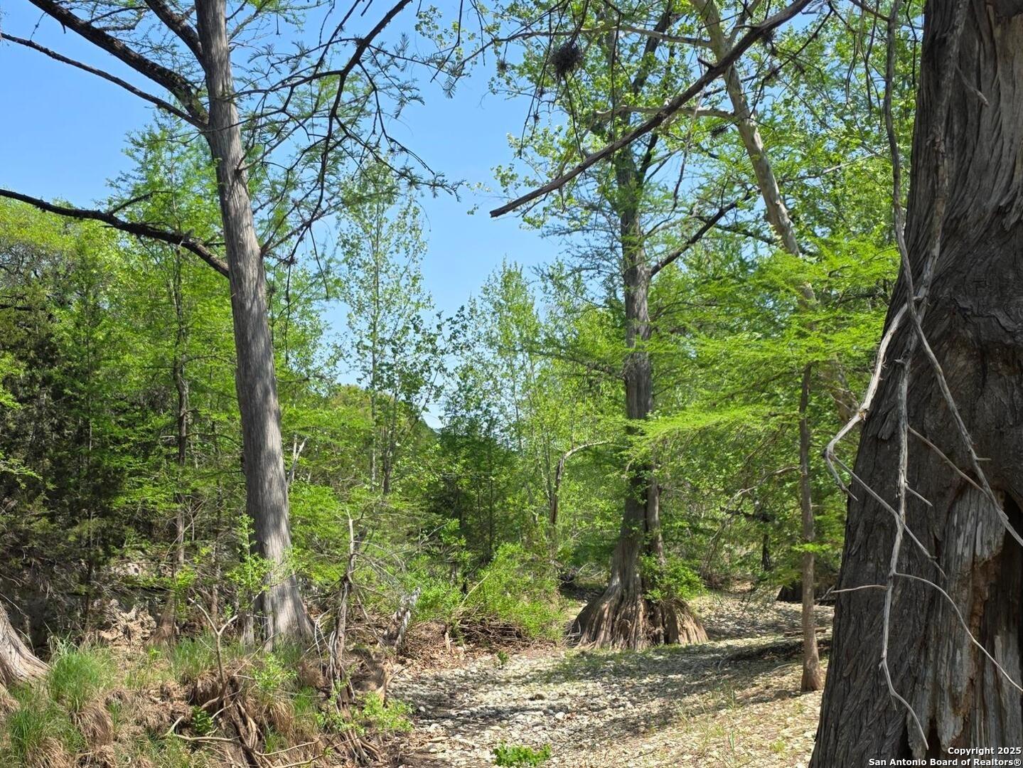 main property photo 47