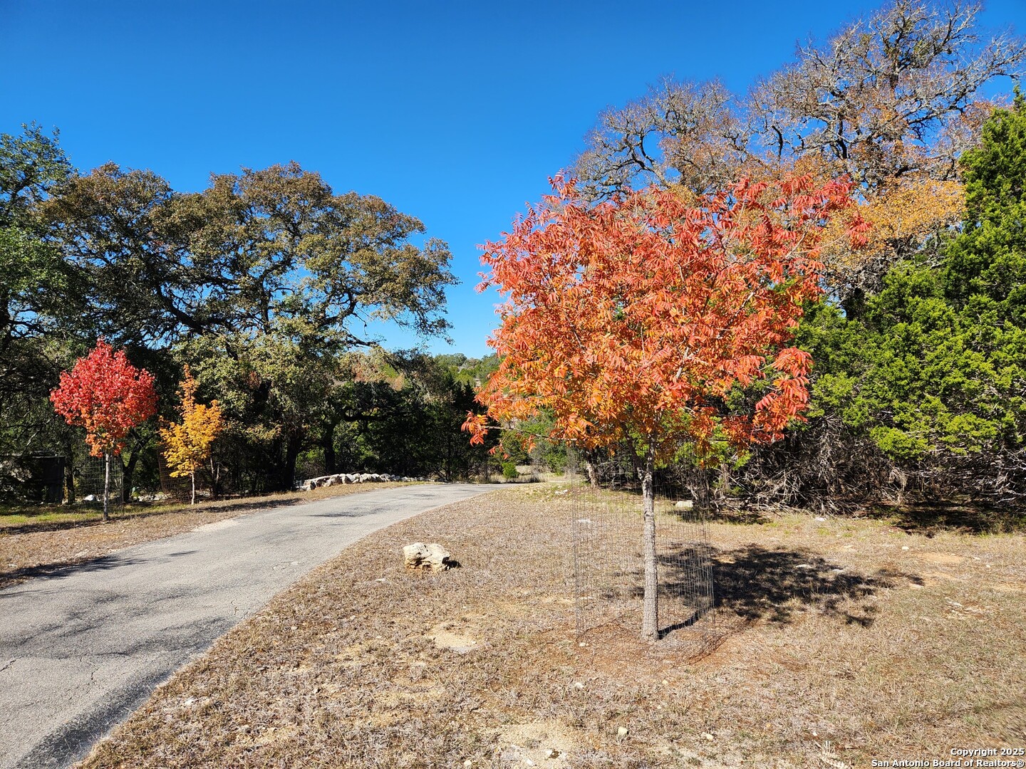 main property photo 53