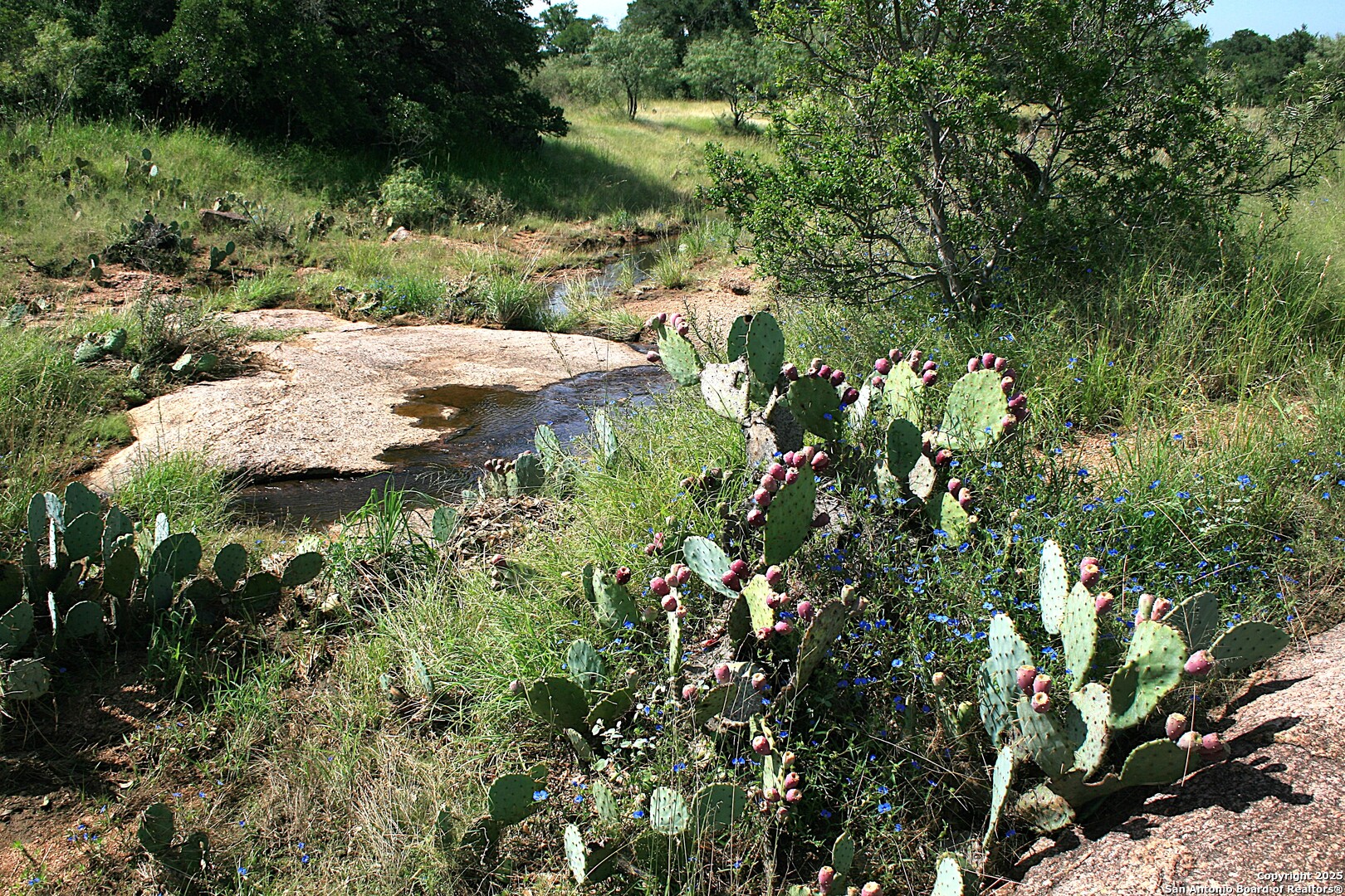 main property photo 13