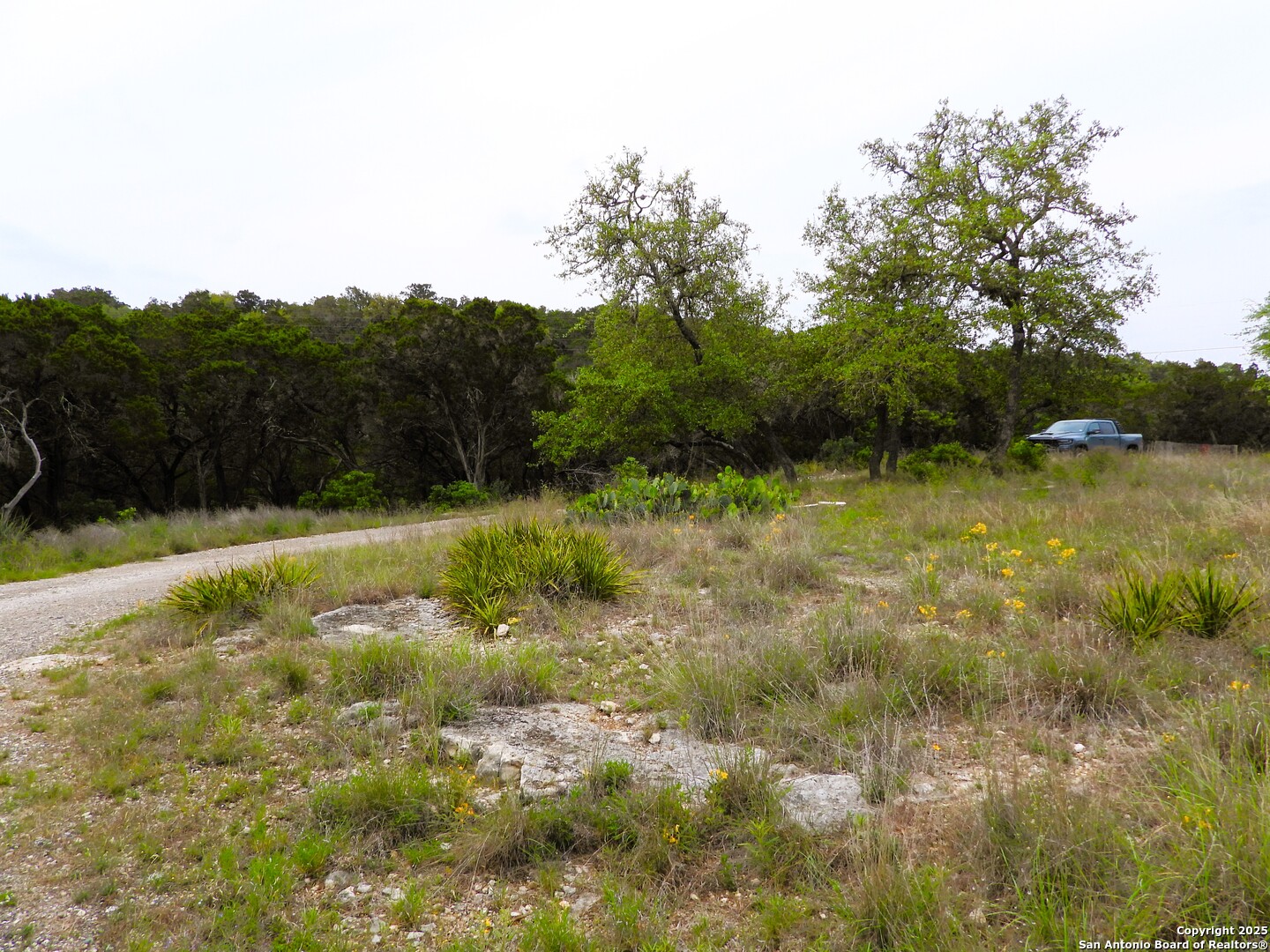 main property photo 7