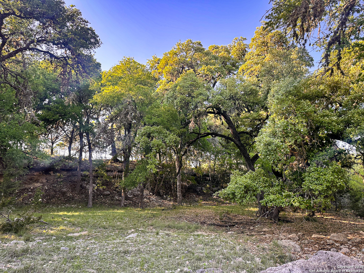main property photo 6