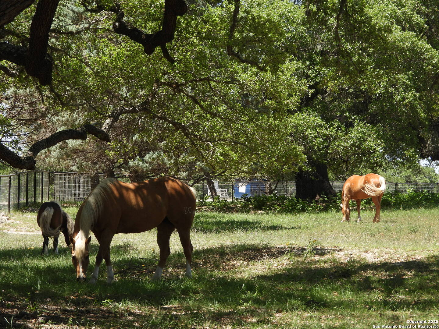 main property photo 49