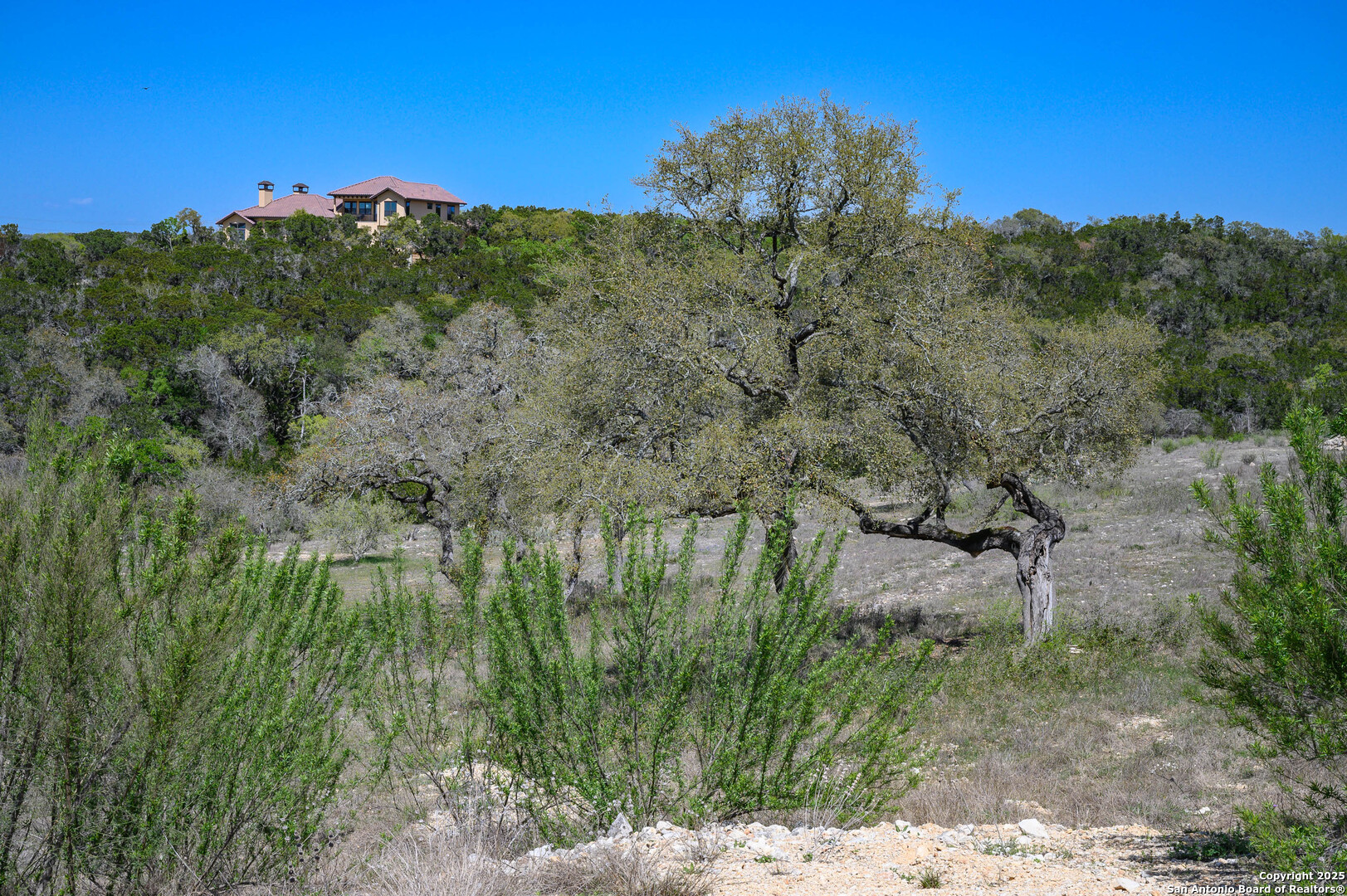 main property photo 19