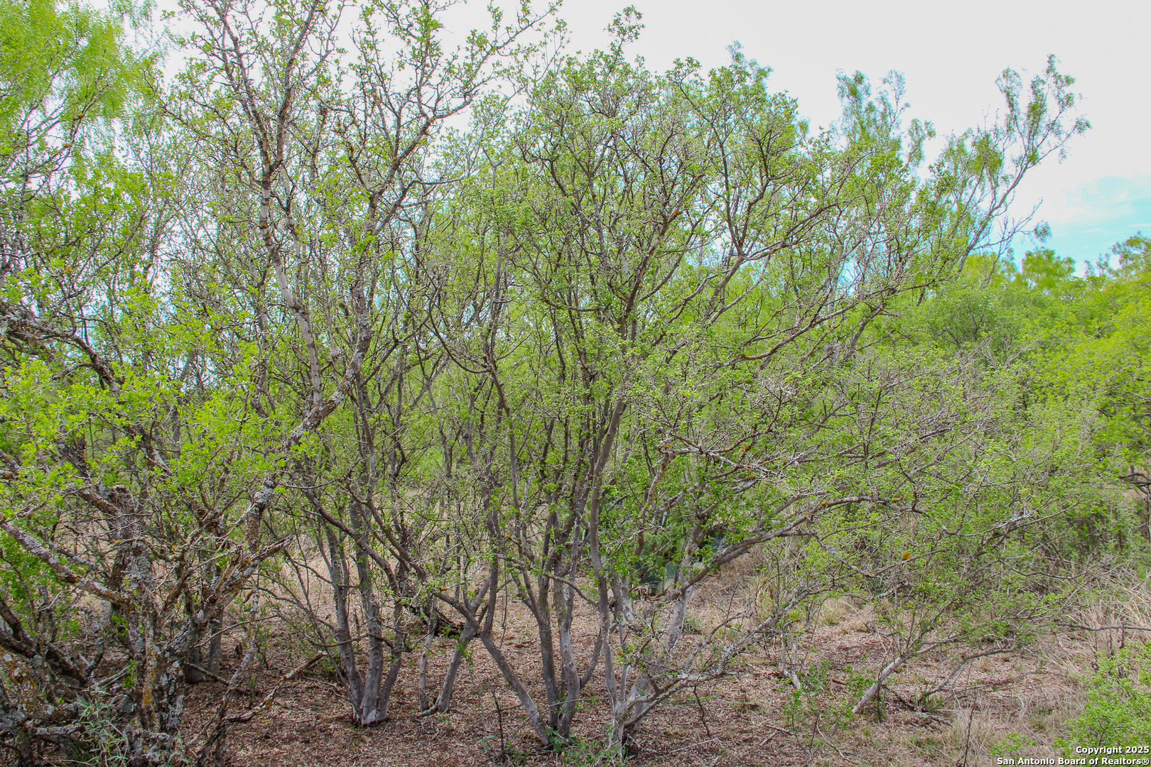 main property photo 12
