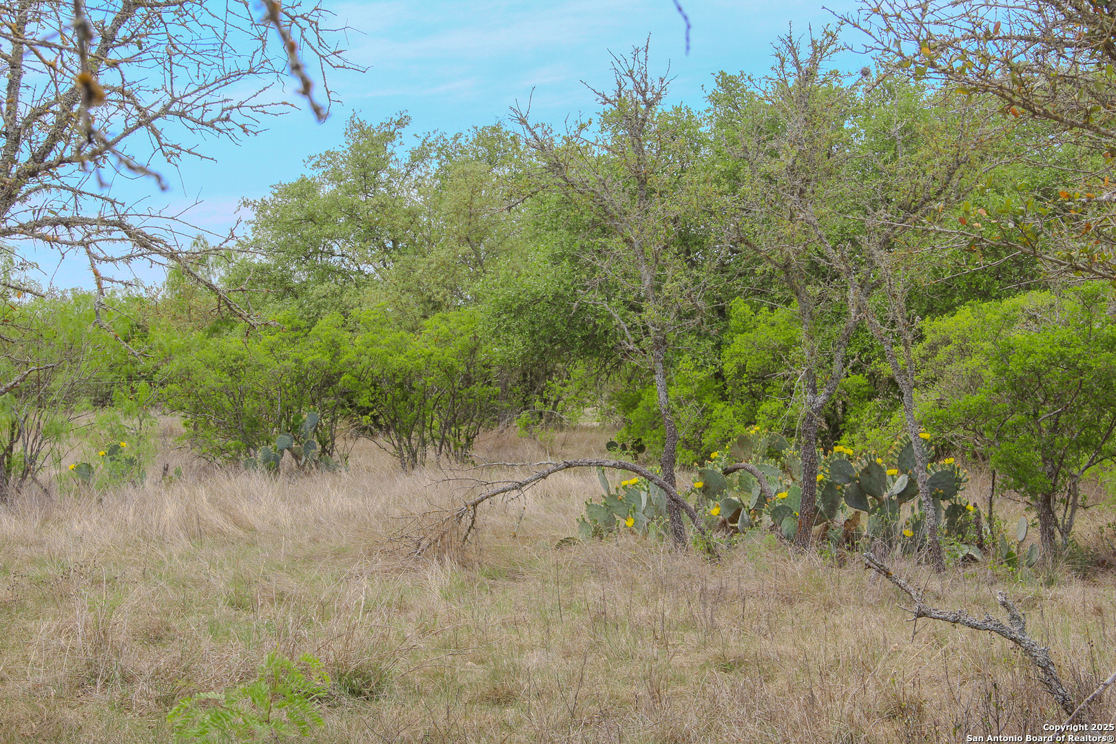 main property photo 20