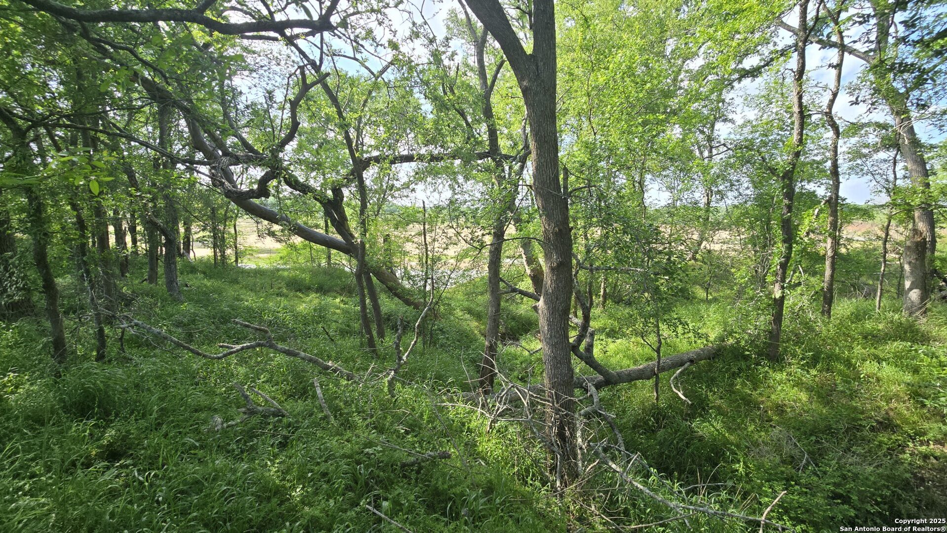 main property photo 19