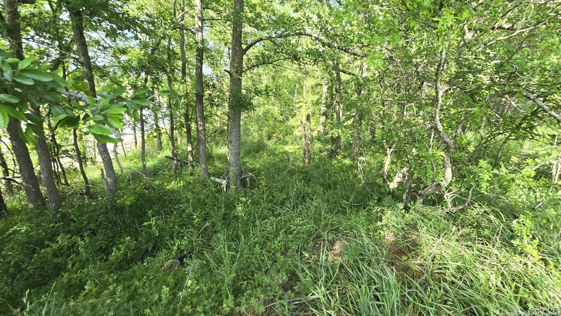 main property photo 21