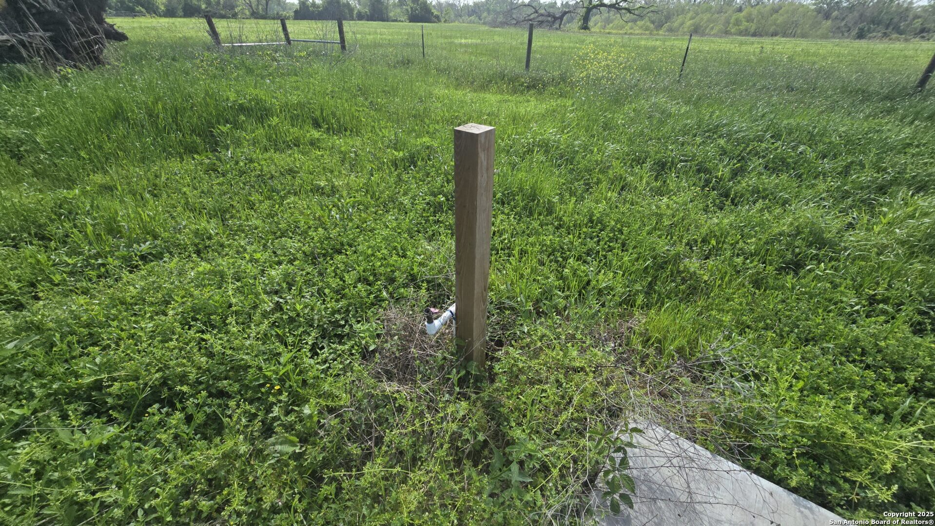 main property photo 27