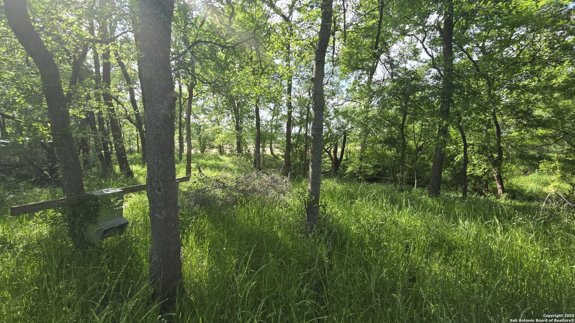 main property photo 33