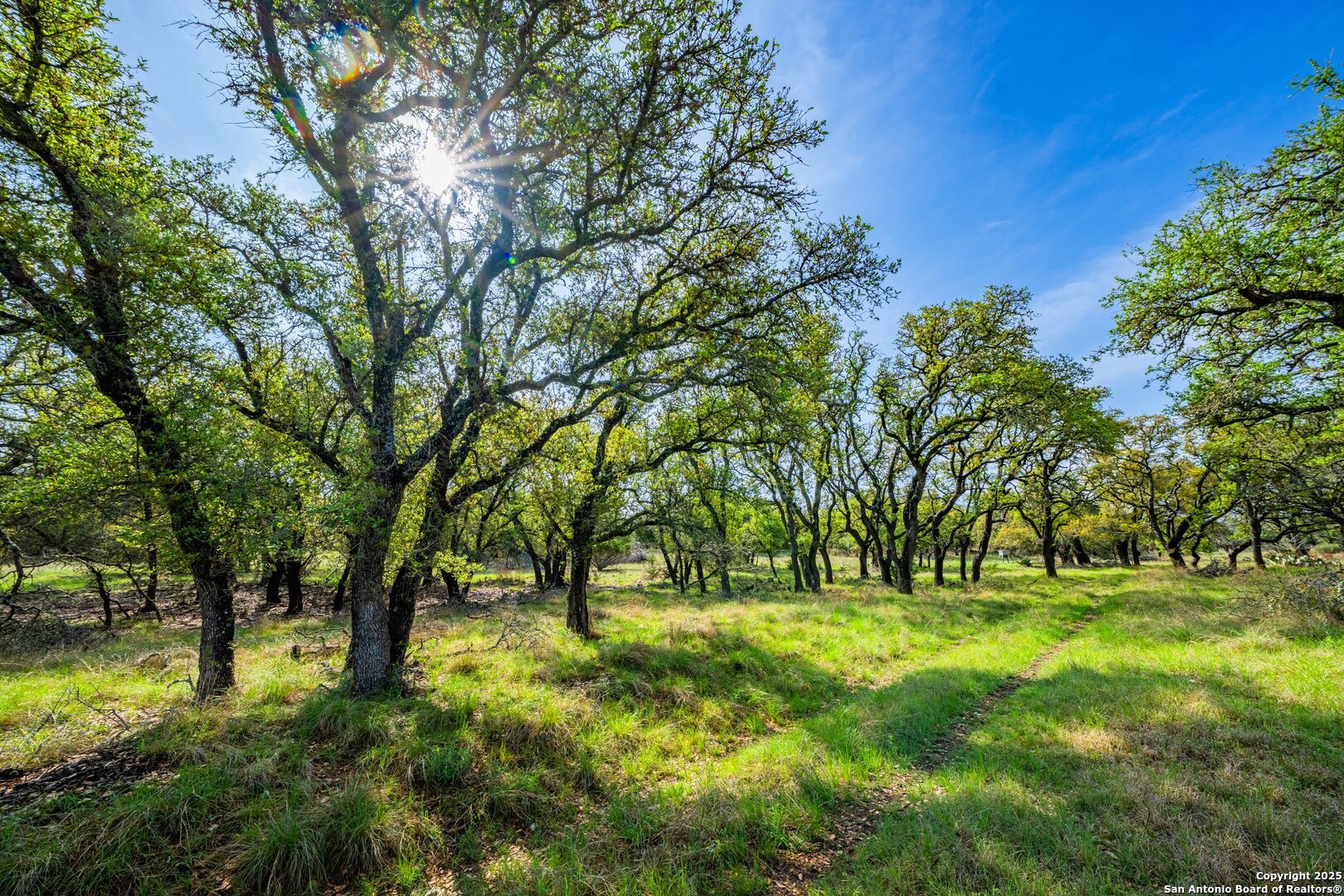 main property photo 24