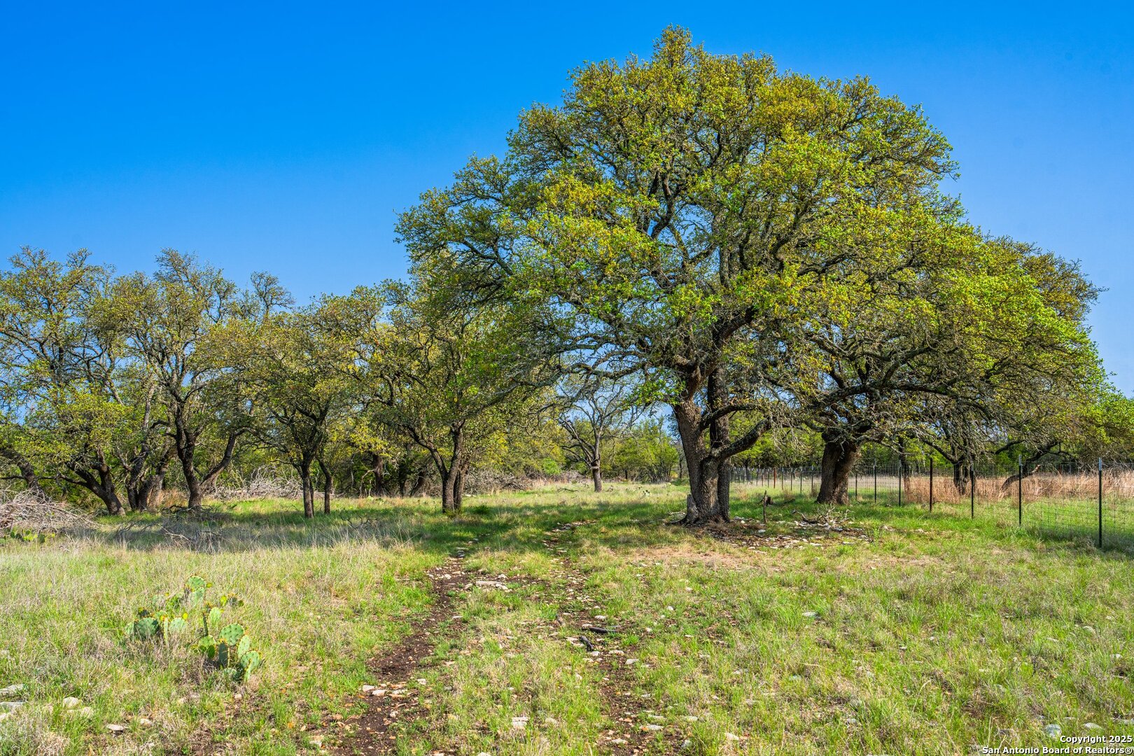main property photo 30