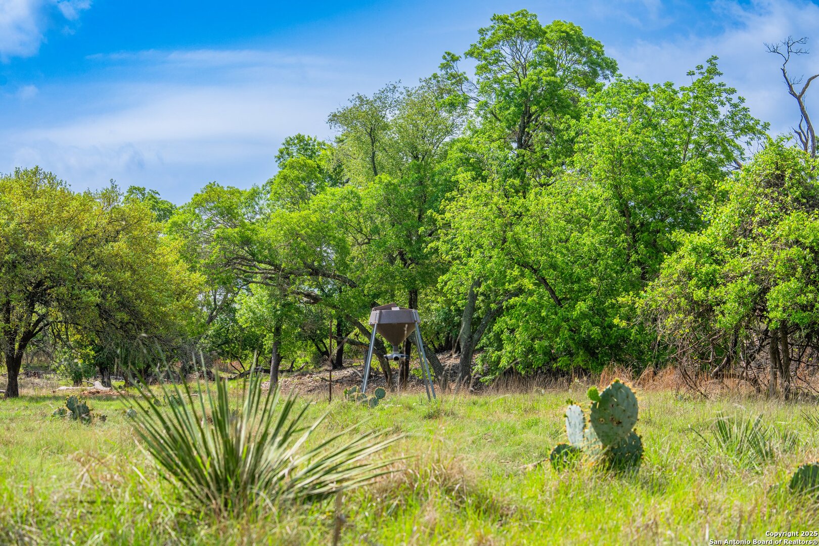 main property photo 35
