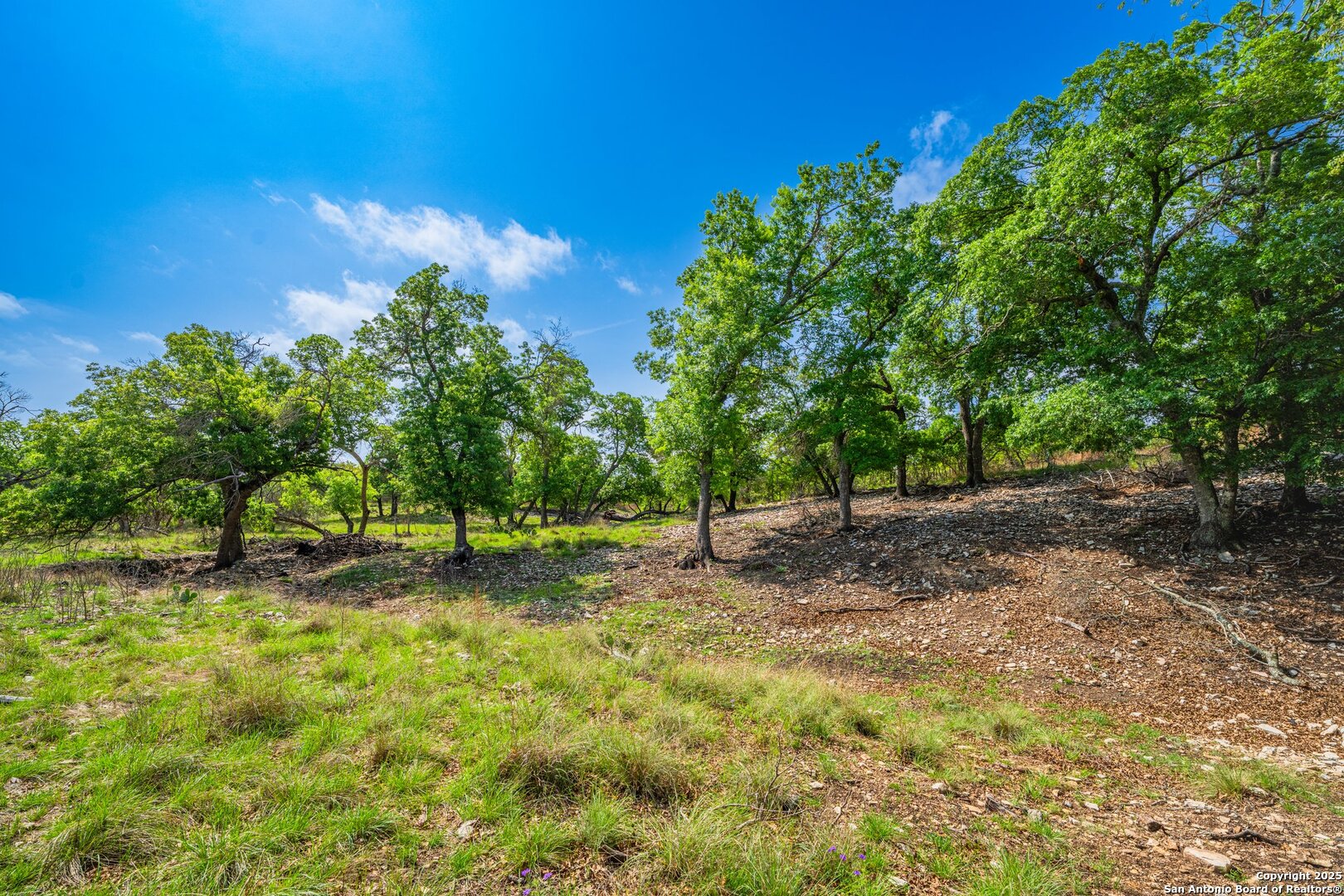 main property photo 37