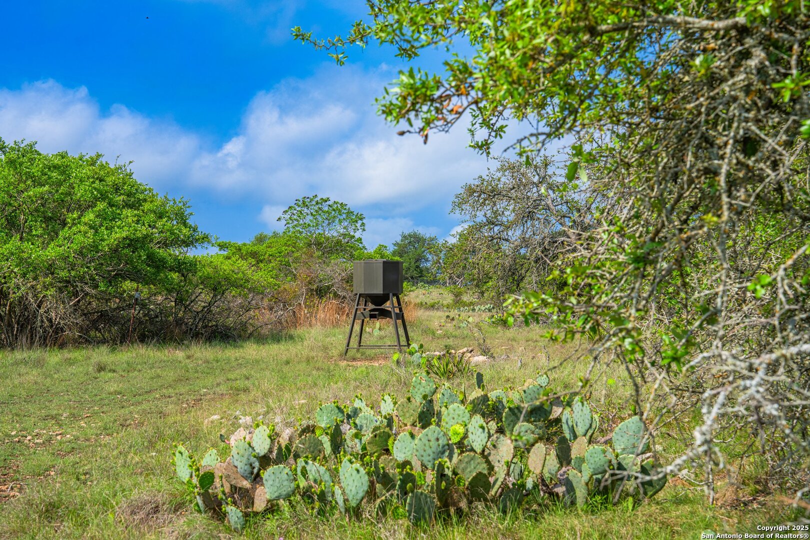 main property photo 38