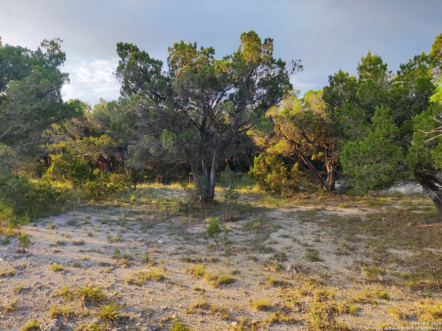 main property photo 8