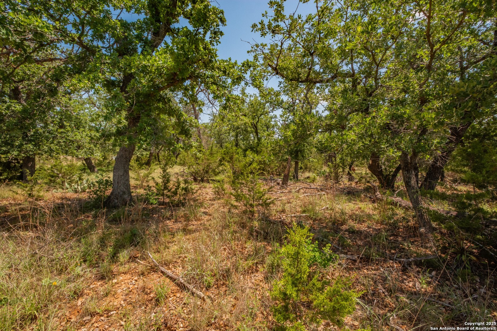 main property photo 16